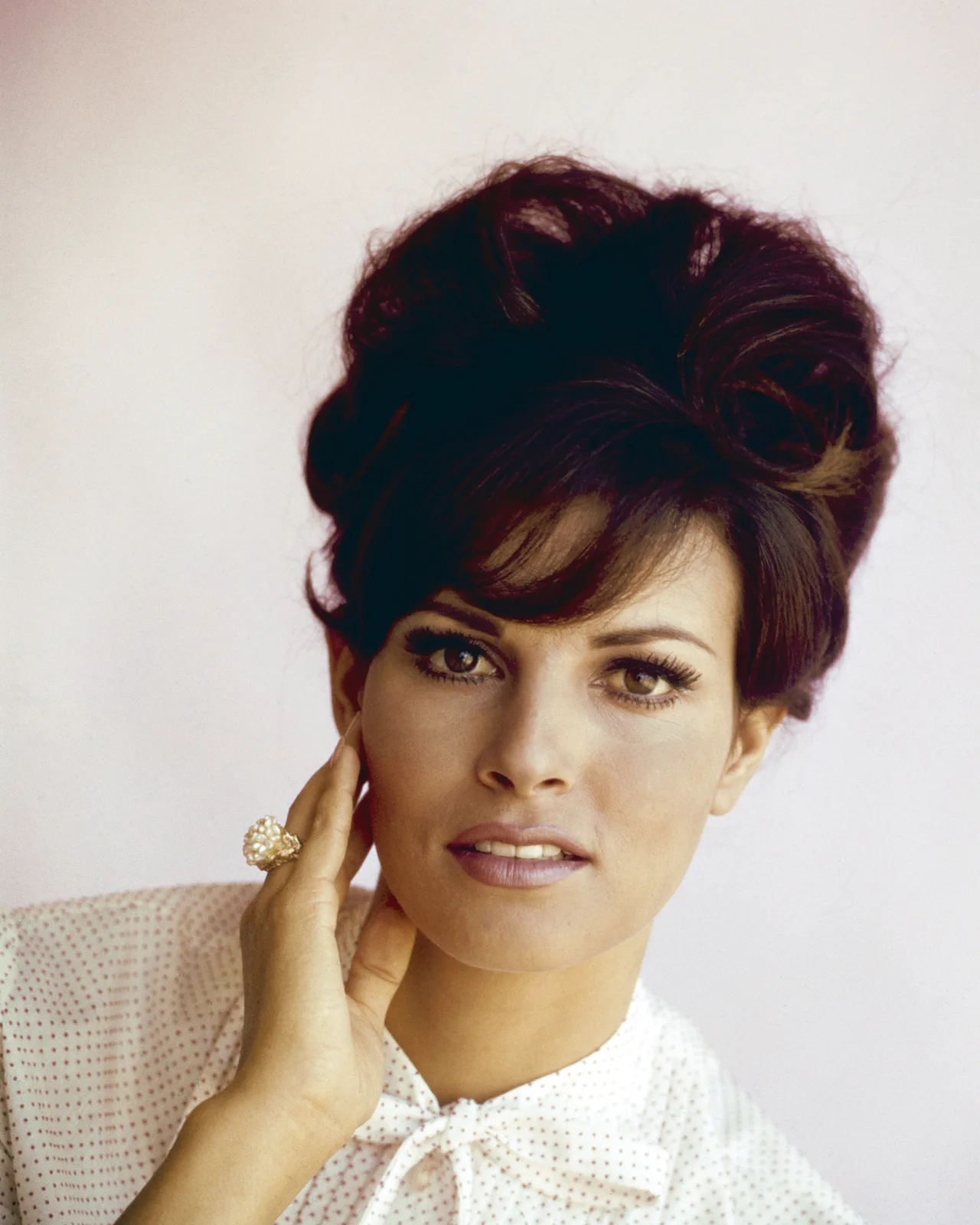 تصویر Raquel Welch