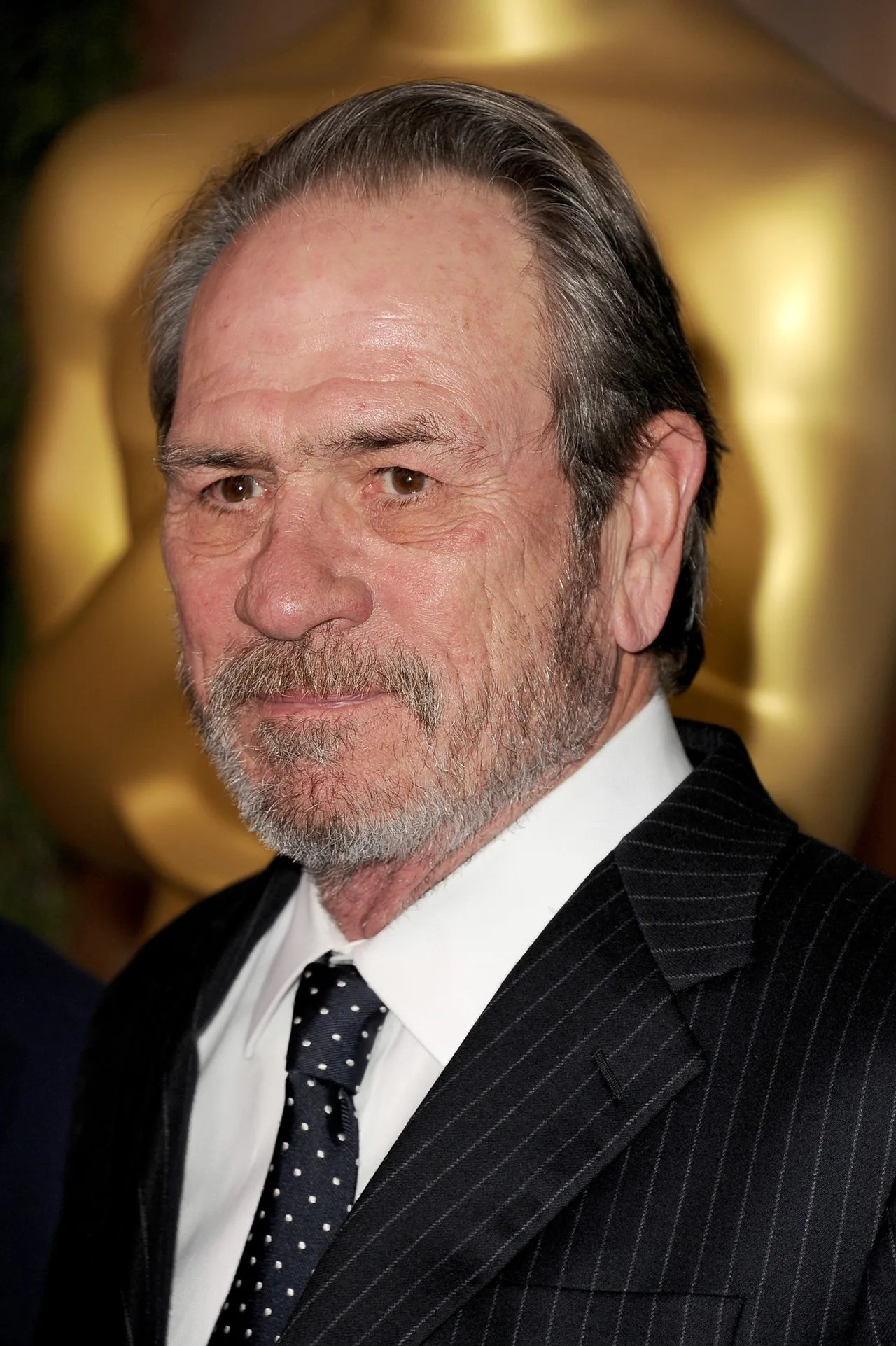 تصویر Tommy Lee Jones