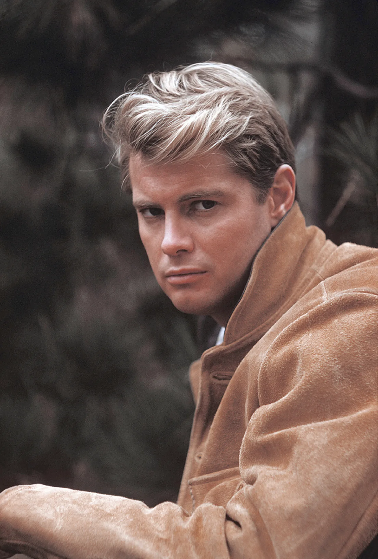 تصویر Troy Donahue