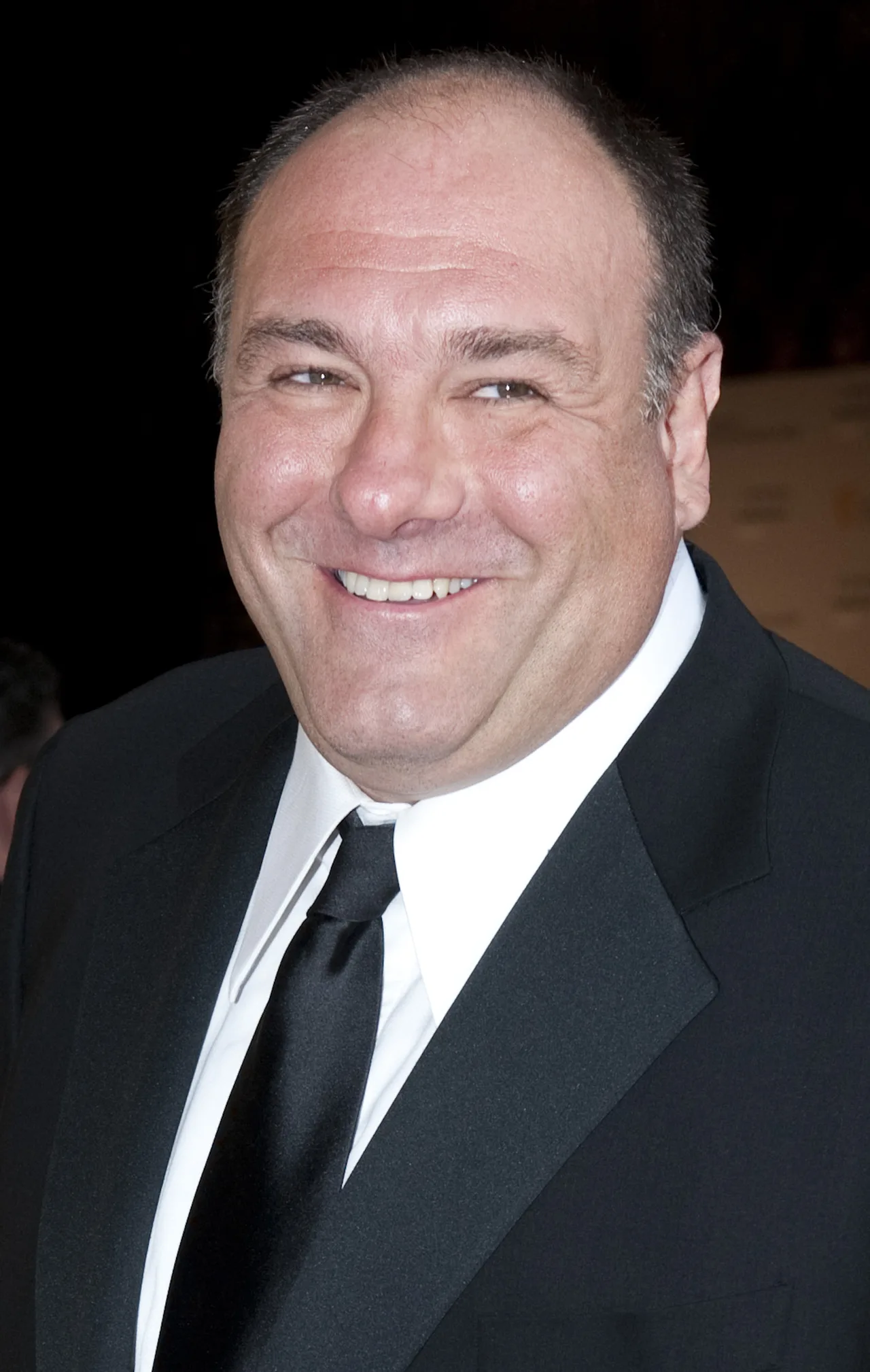 تصویر James Gandolfini