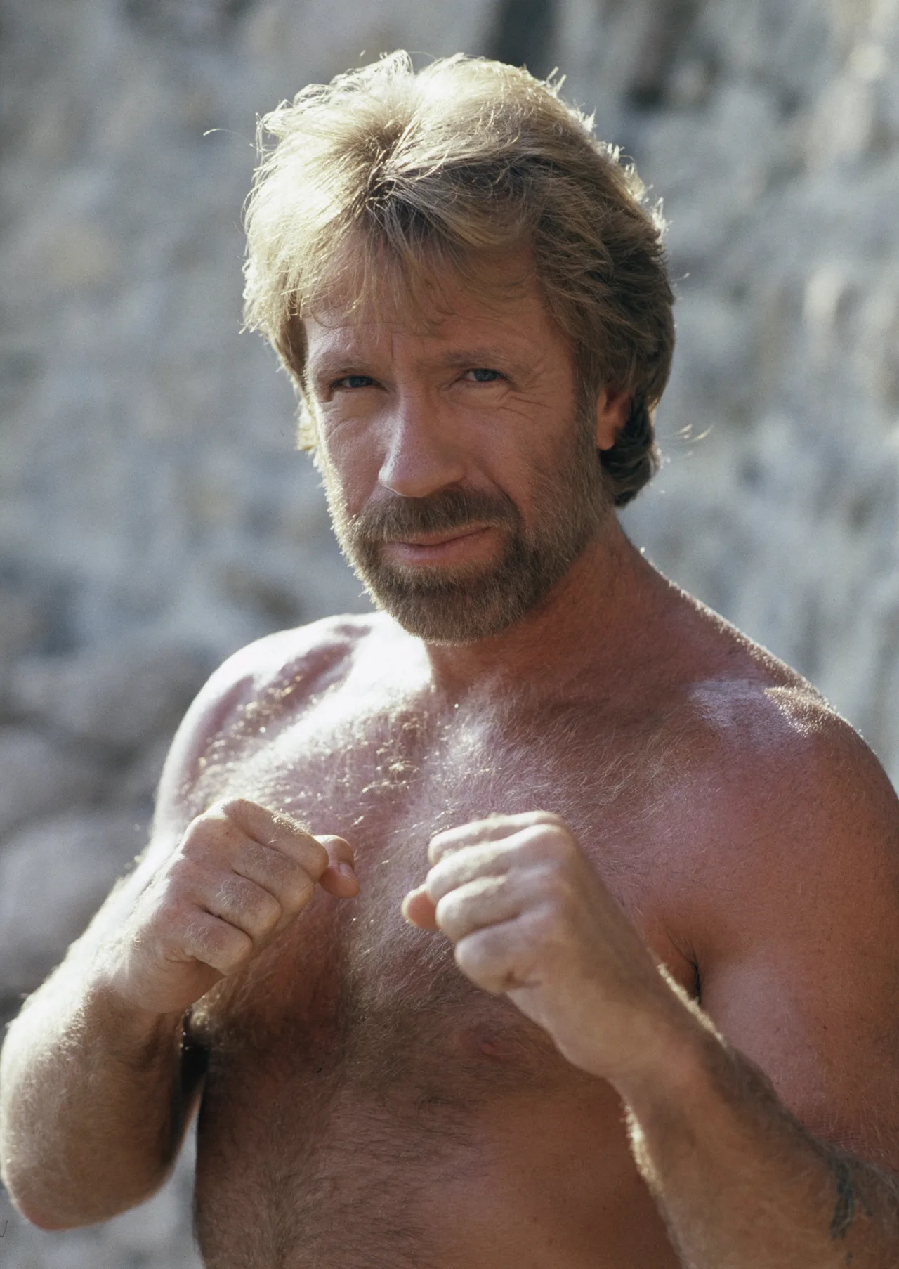 تصویر Chuck Norris