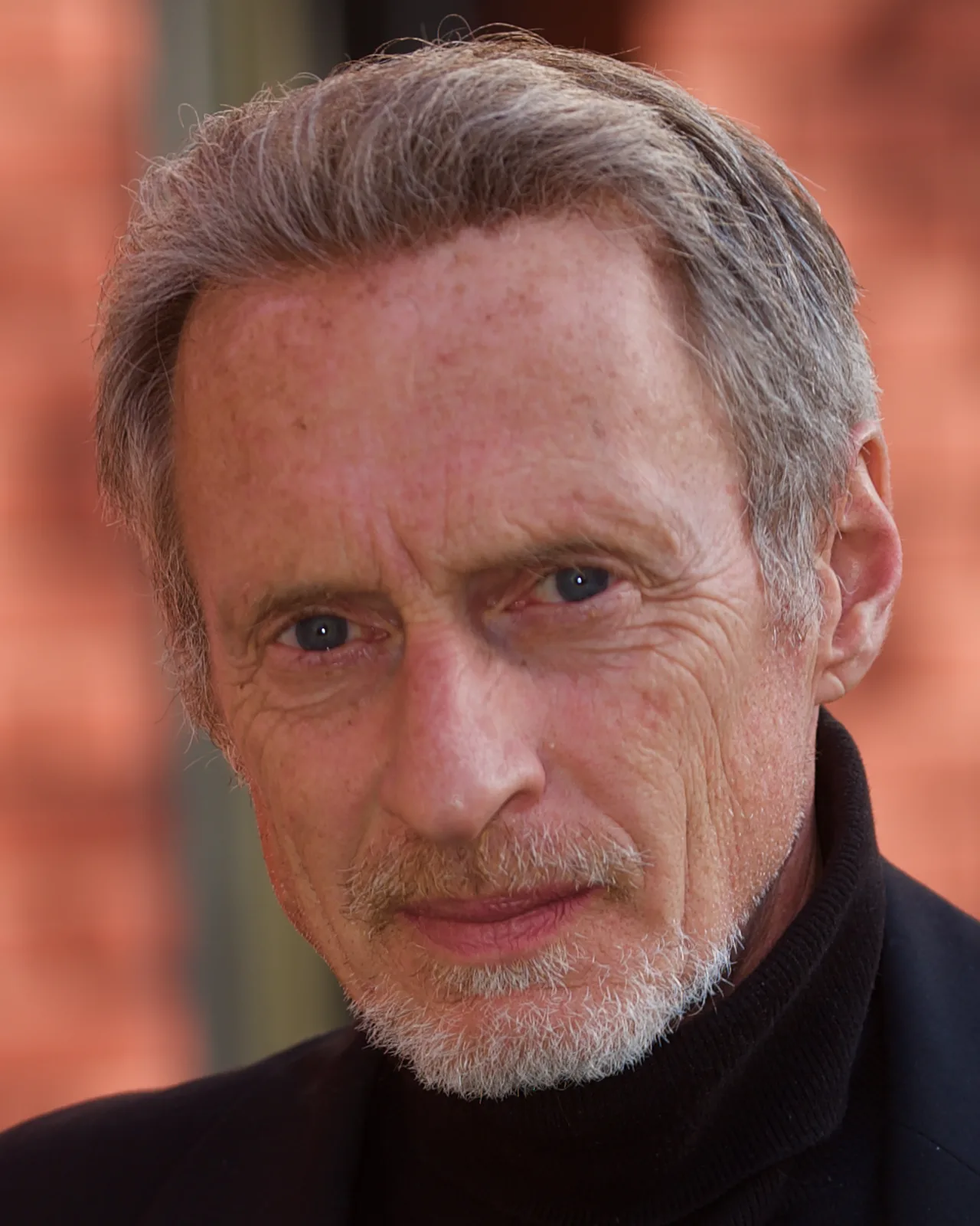 تصویر Michael Buscemi