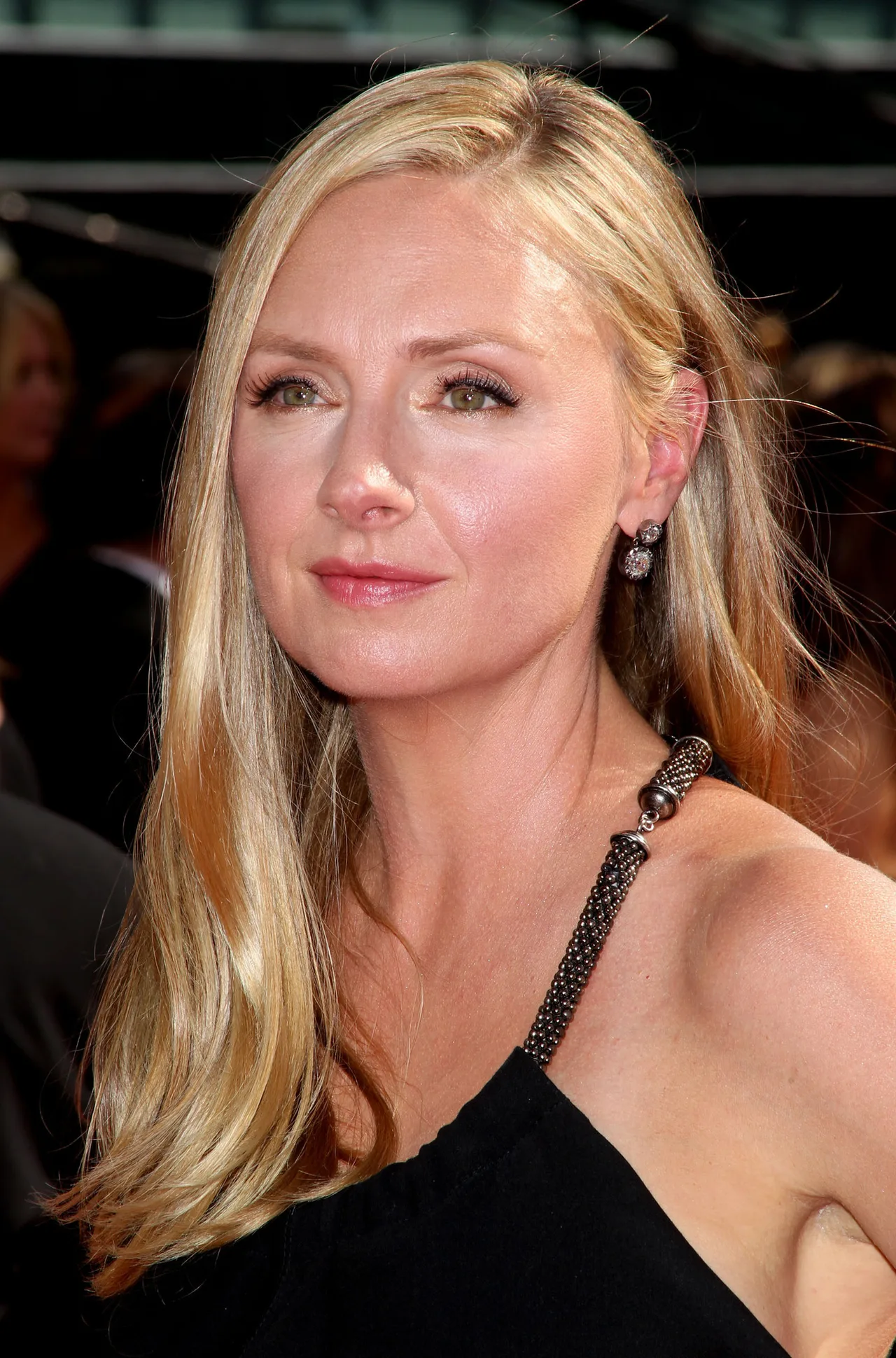تصویر Hope Davis