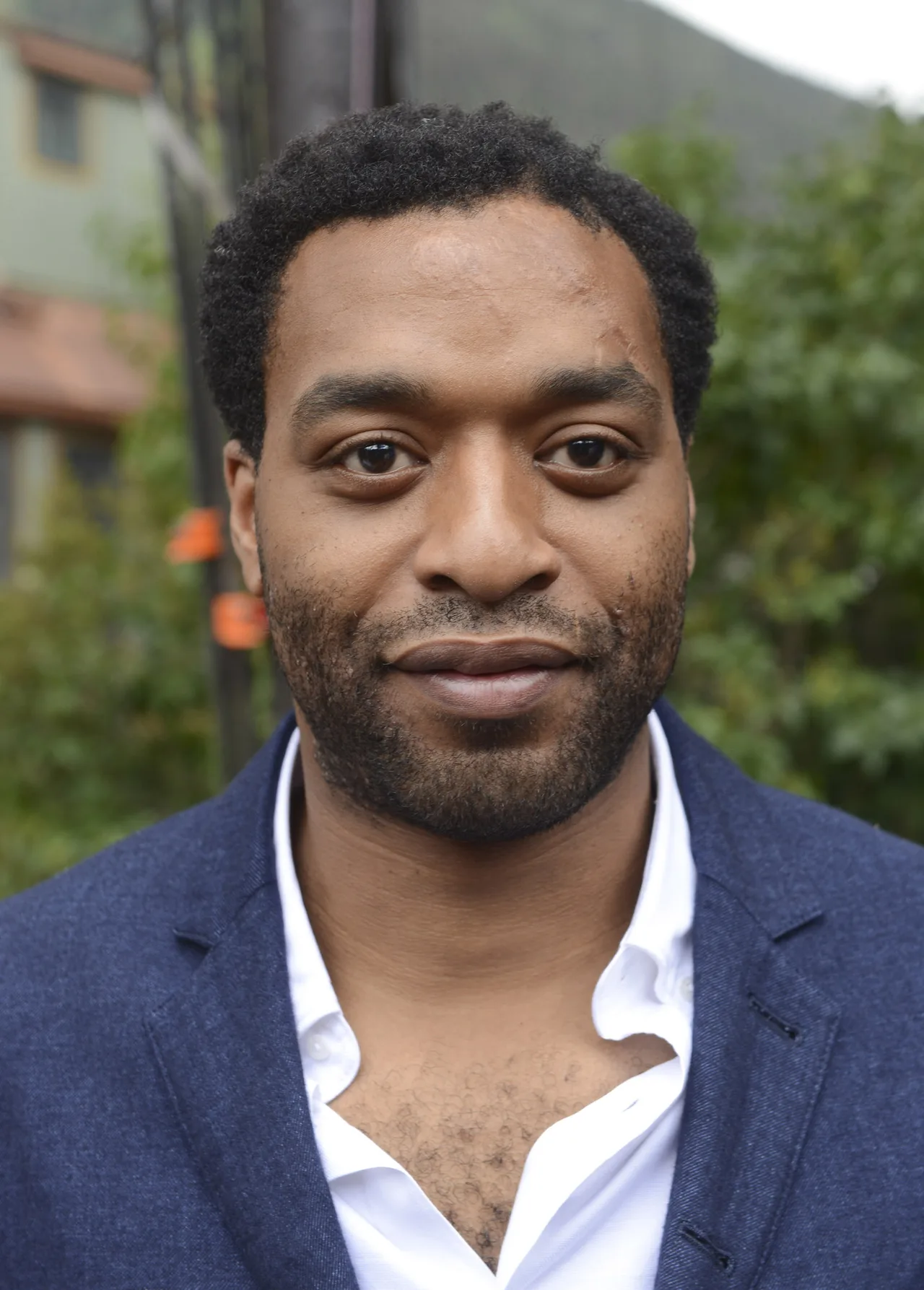 تصویر Chiwetel Ejiofor