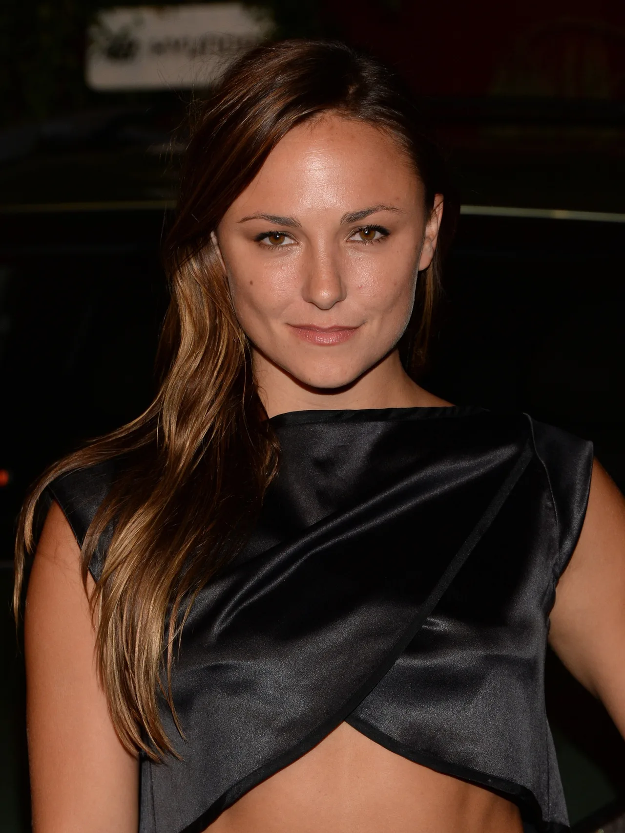 تصویر Briana Evigan