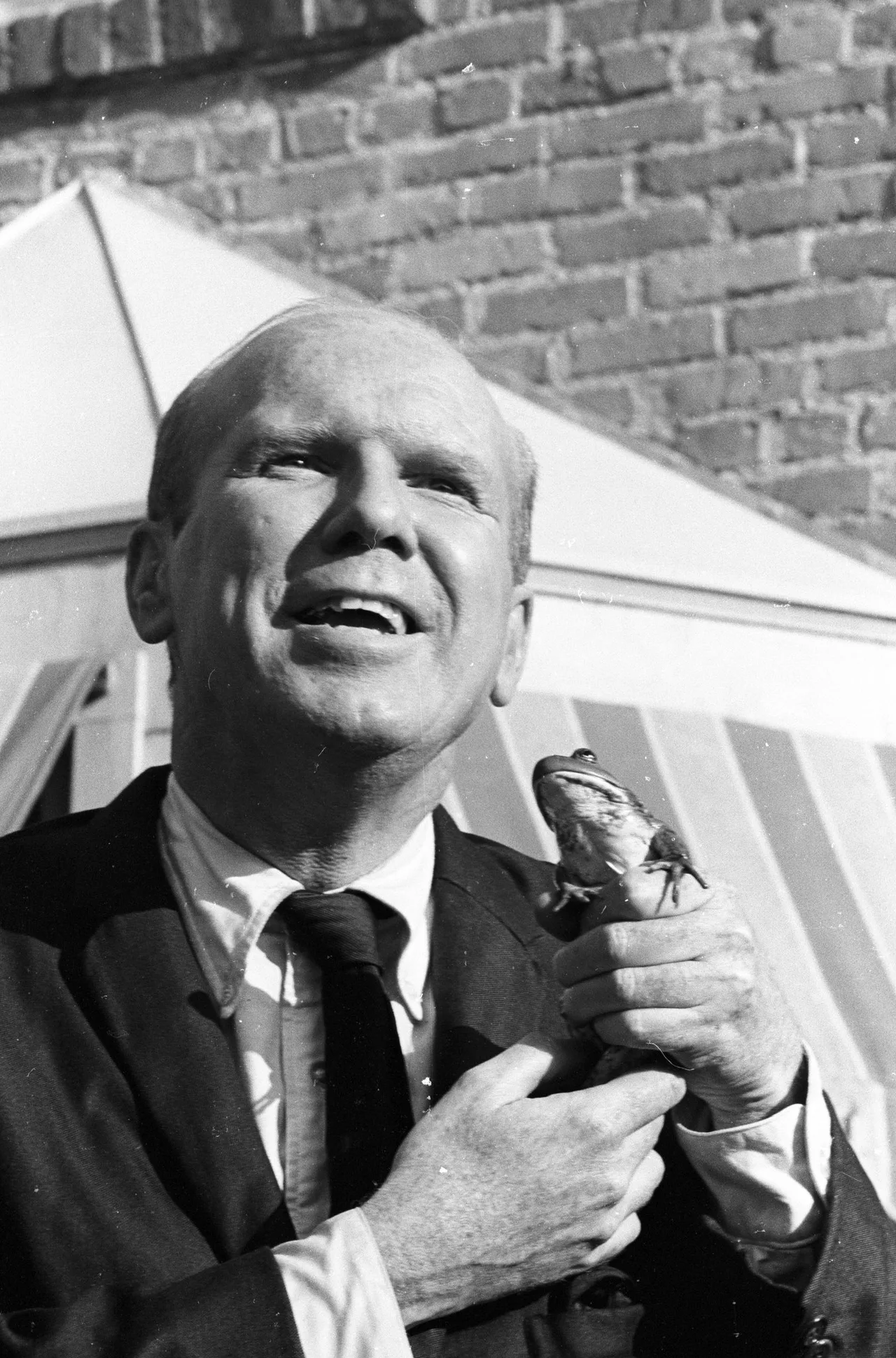 تصویر John Fiedler