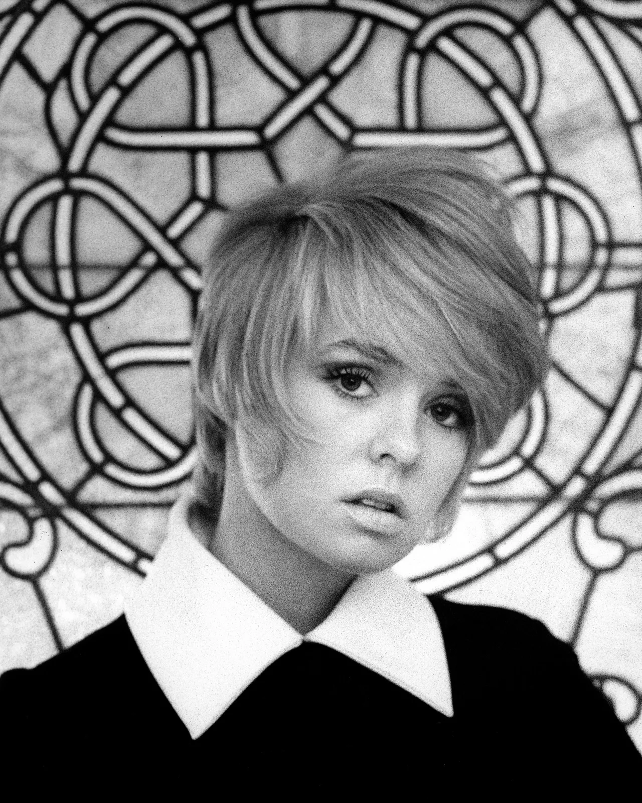 تصویر Joey Heatherton