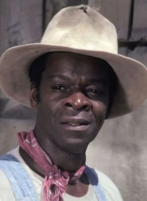 تصویر Brock Peters