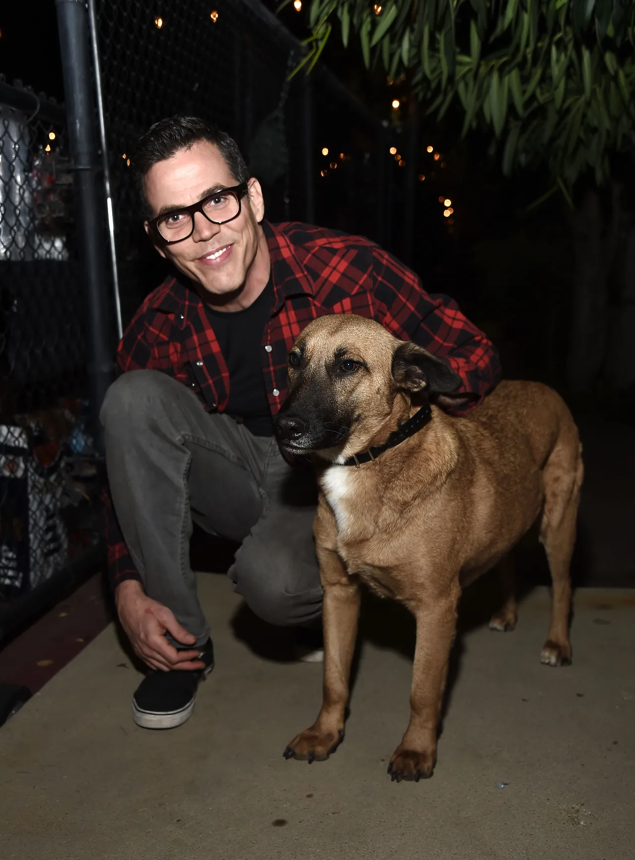 تصویر Steve-O