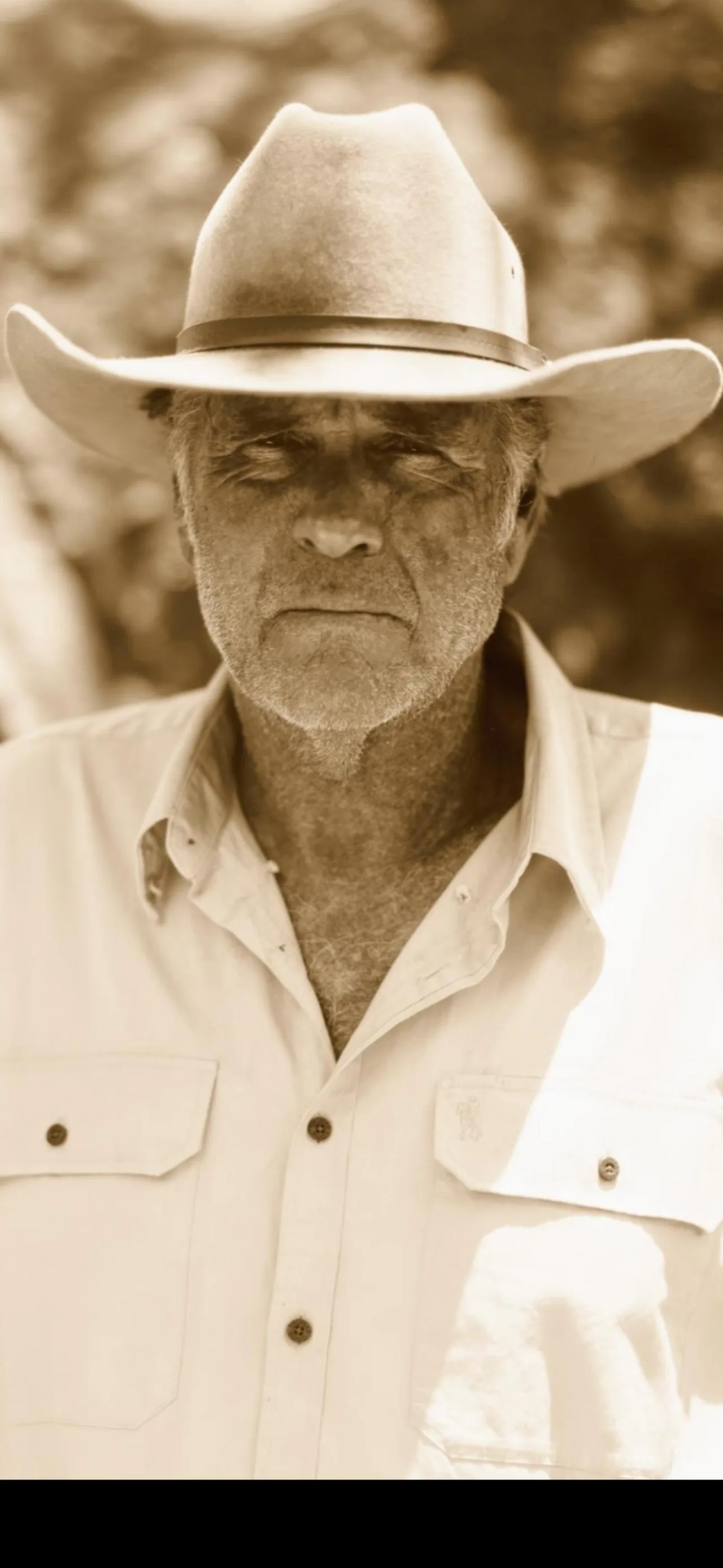تصویر Robert Taylor