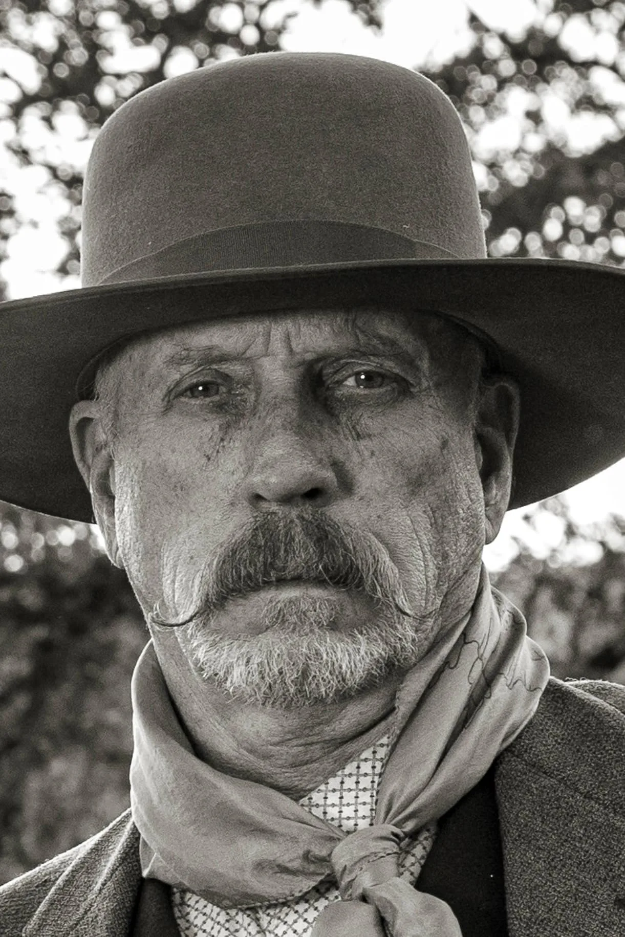 تصویر Tom Dragt