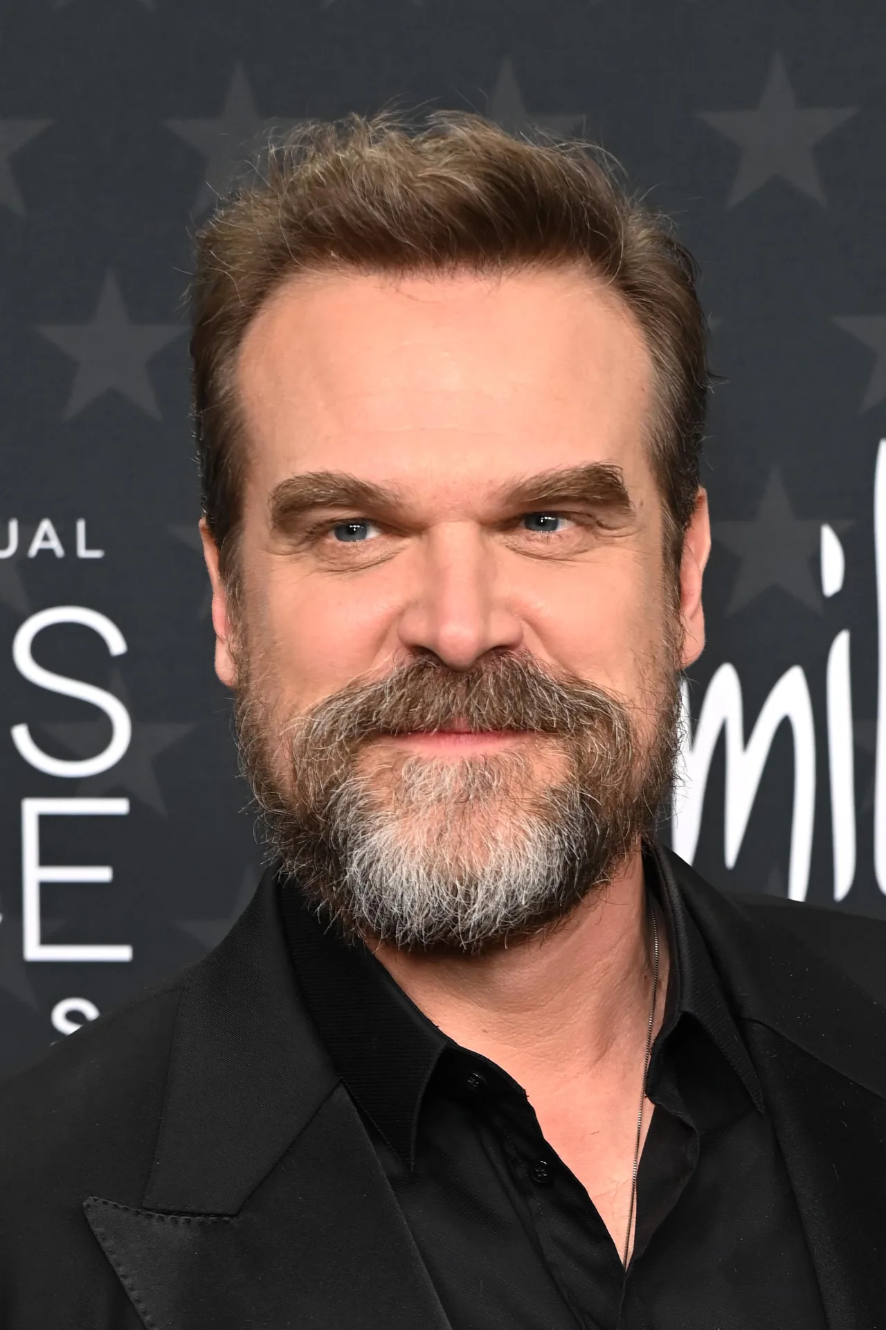 تصویر David Harbour