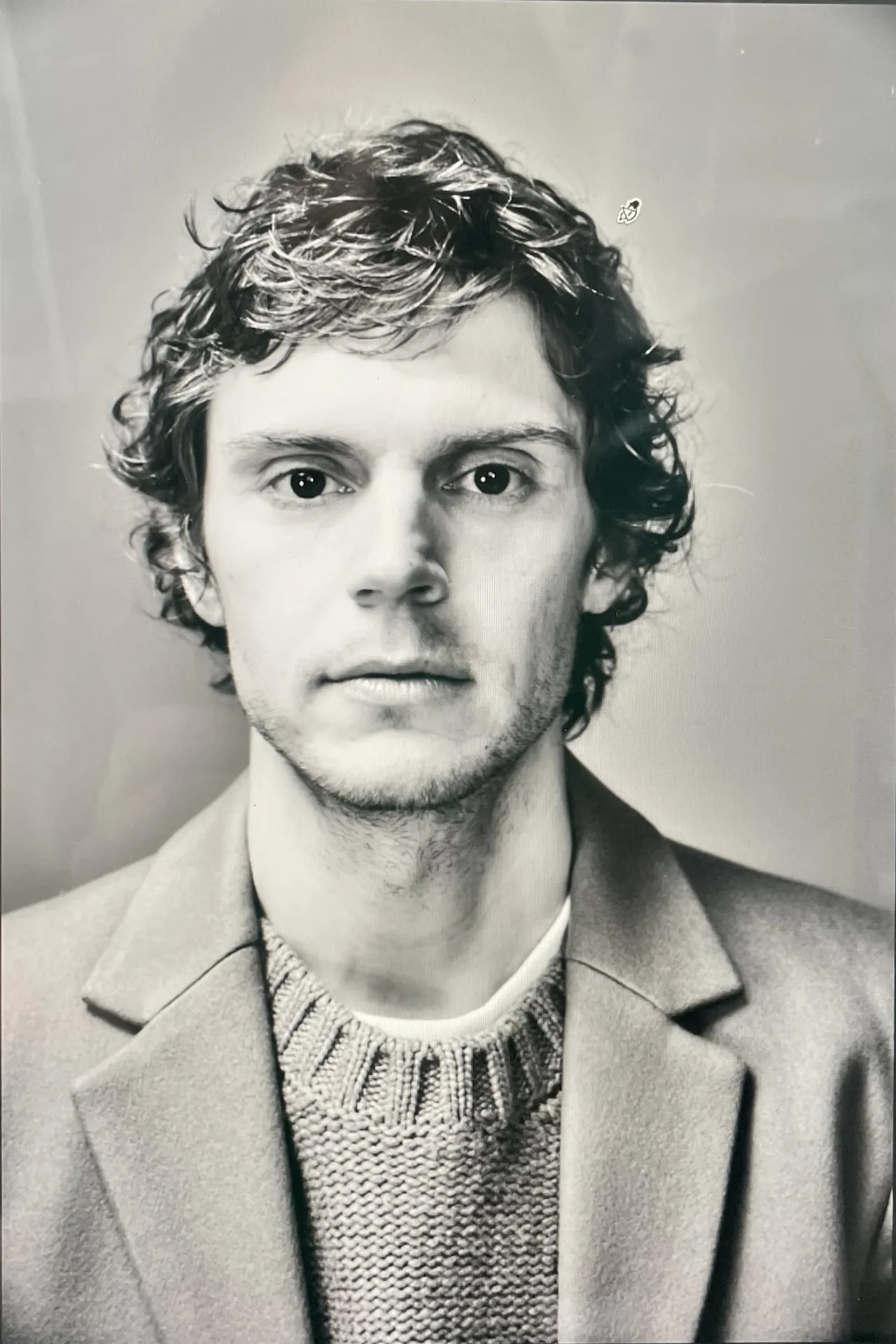 تصویر Evan Peters