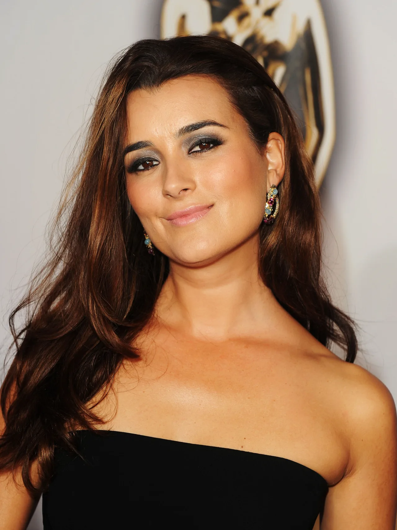 تصویر Cote de Pablo