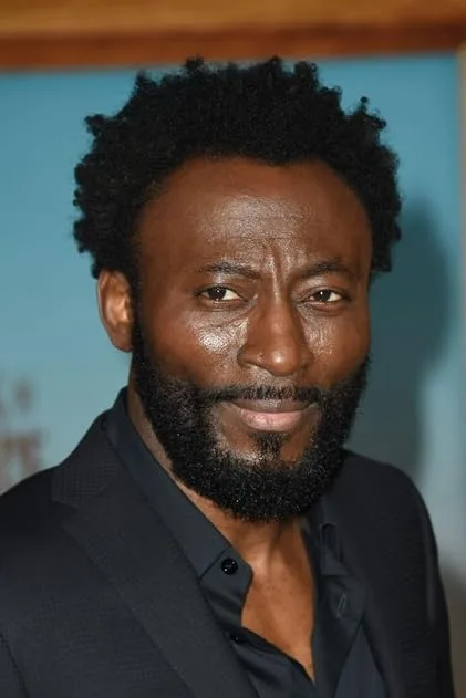 تصویر Babs Olusanmokun
