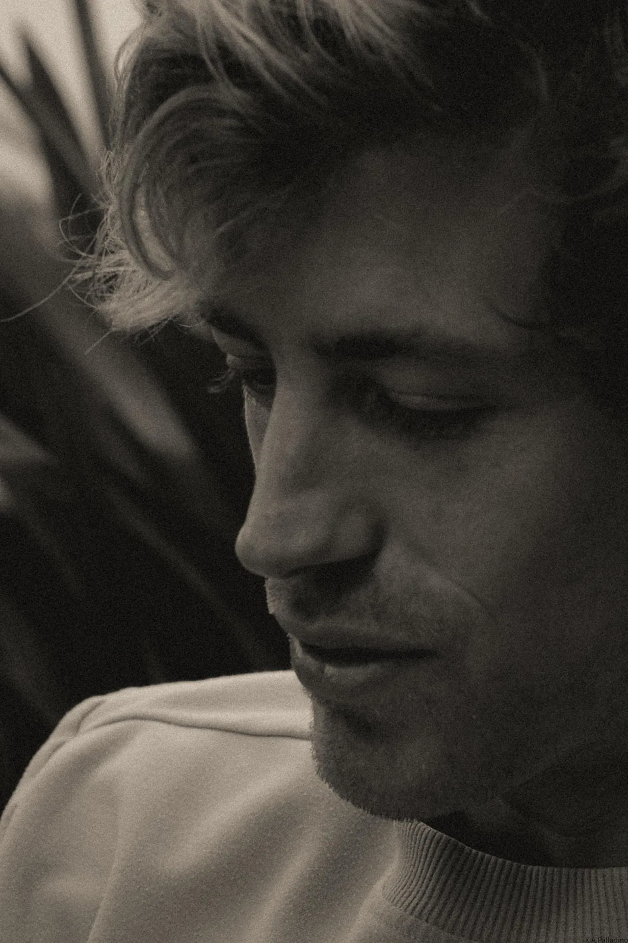 تصویر Jadon Cal Fitzpatrick