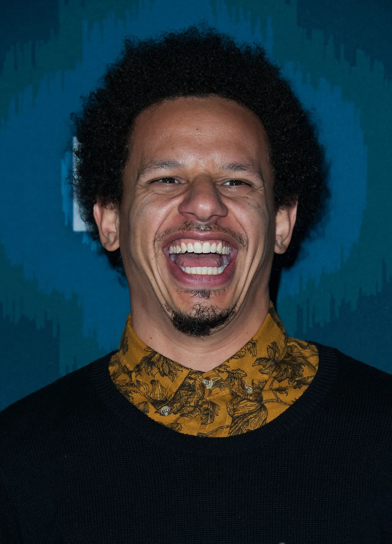 تصویر Eric André