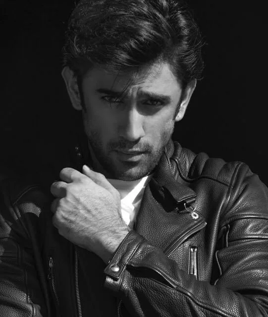 تصویر Amit Sadh
