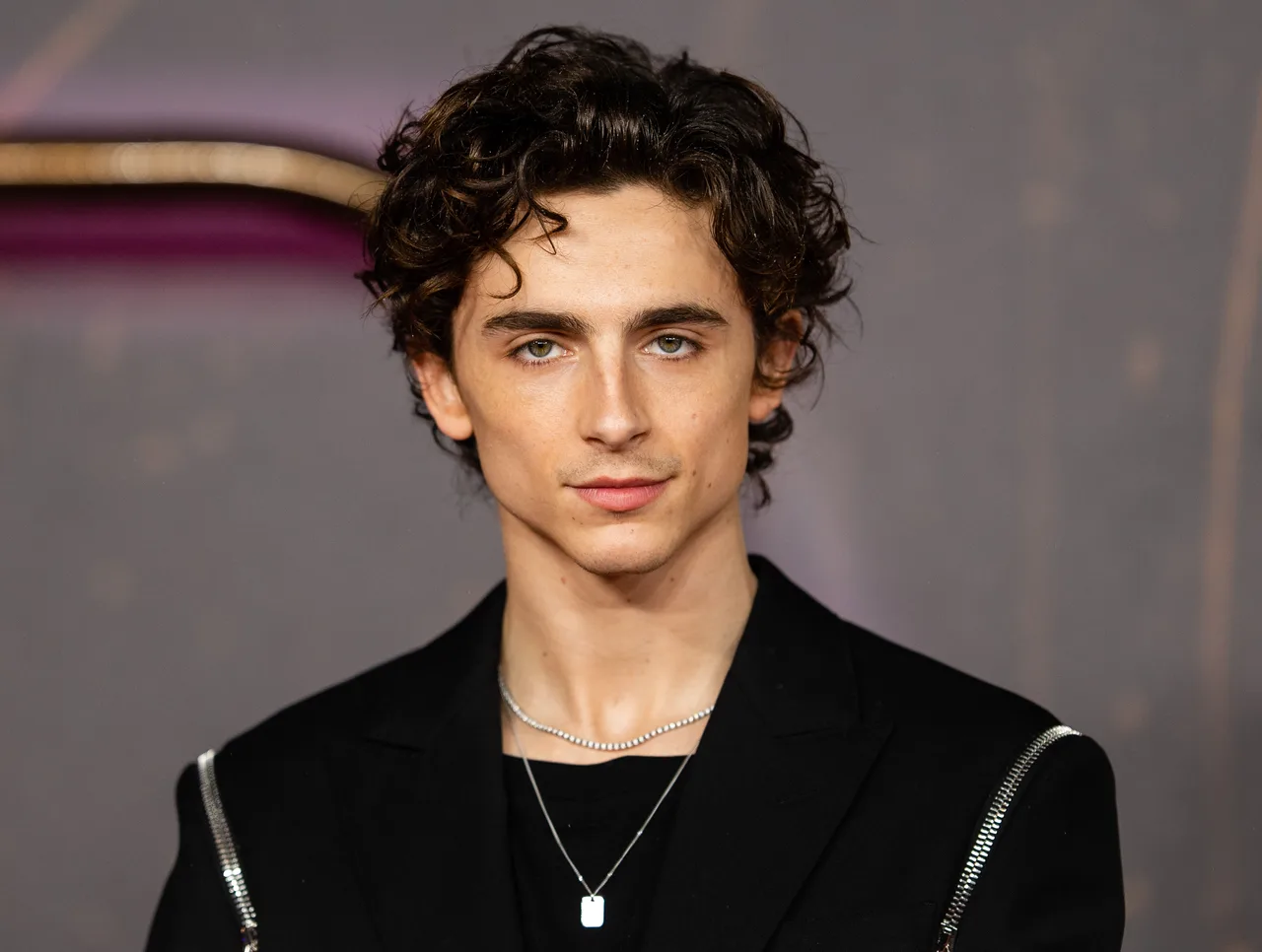 تصویر Timothée Chalamet