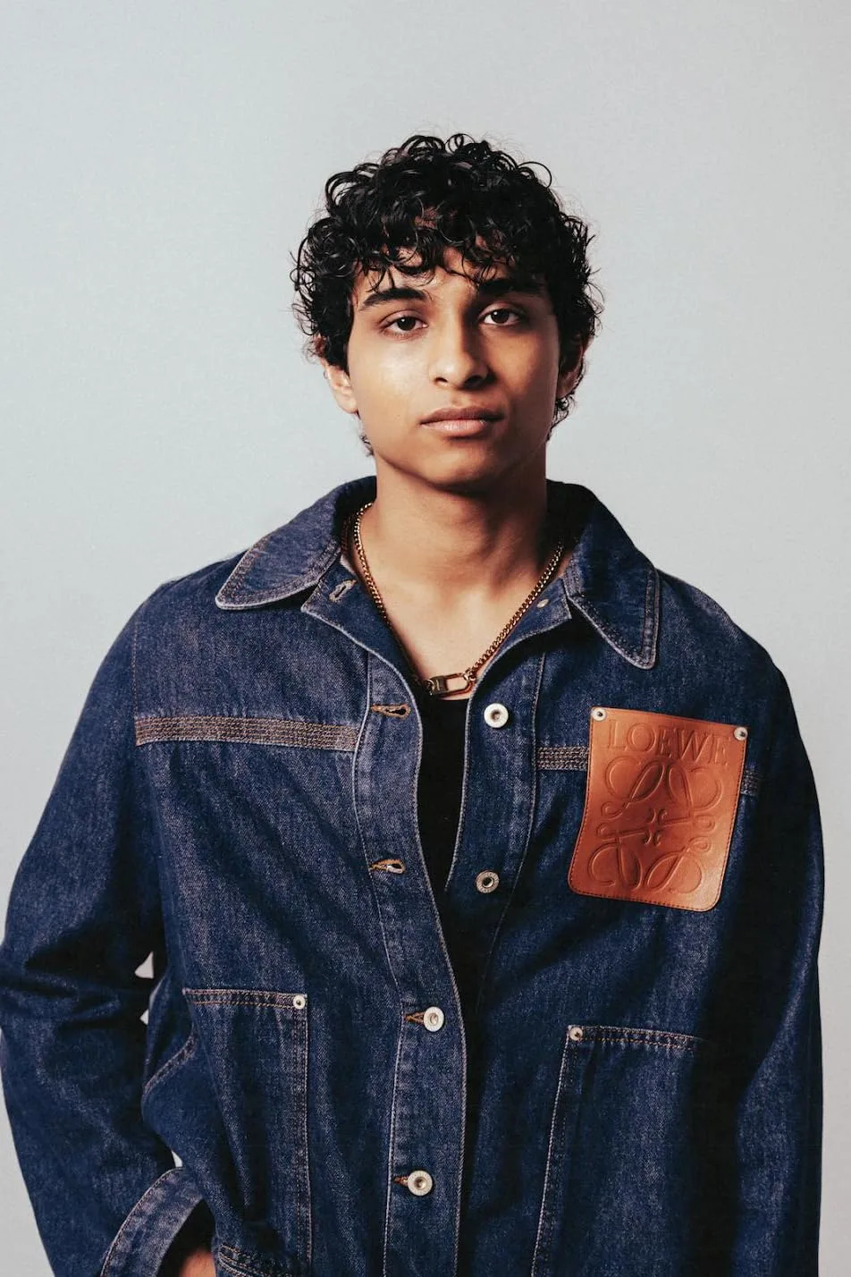 تصویر Aryan Simhadri