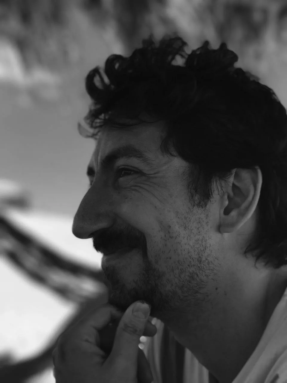 تصویر Fernando Alonso