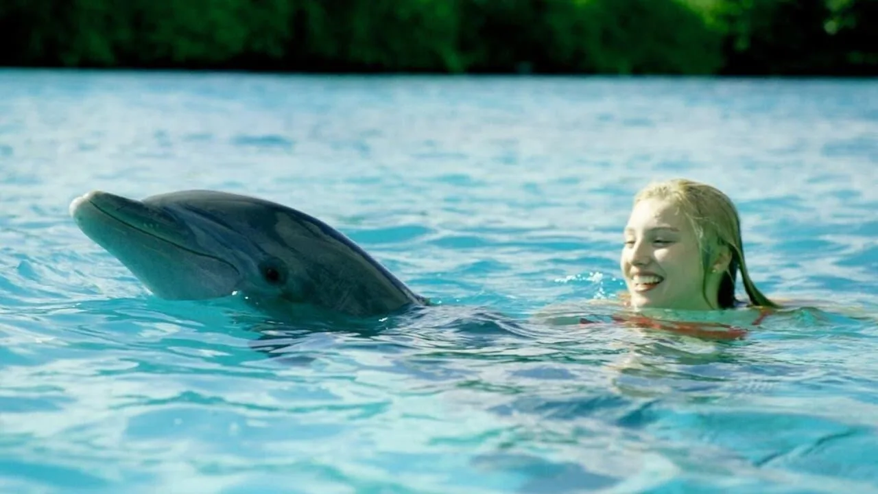 نمای پسزمینه Dolphin Island