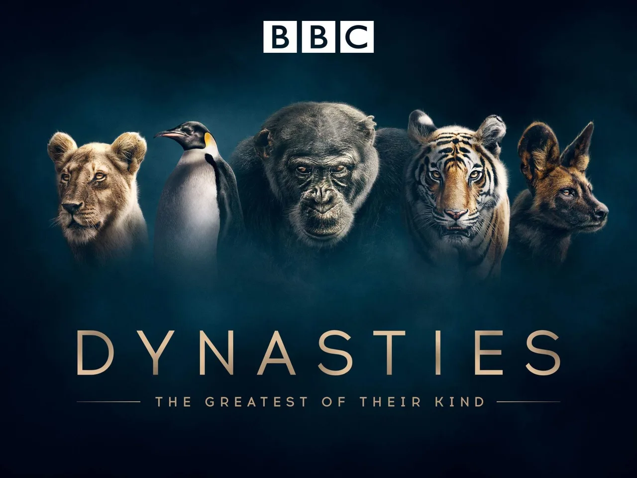 نمای پسزمینه Dynasties