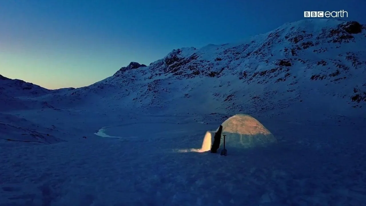 نمای پسزمینه The Last Igloo