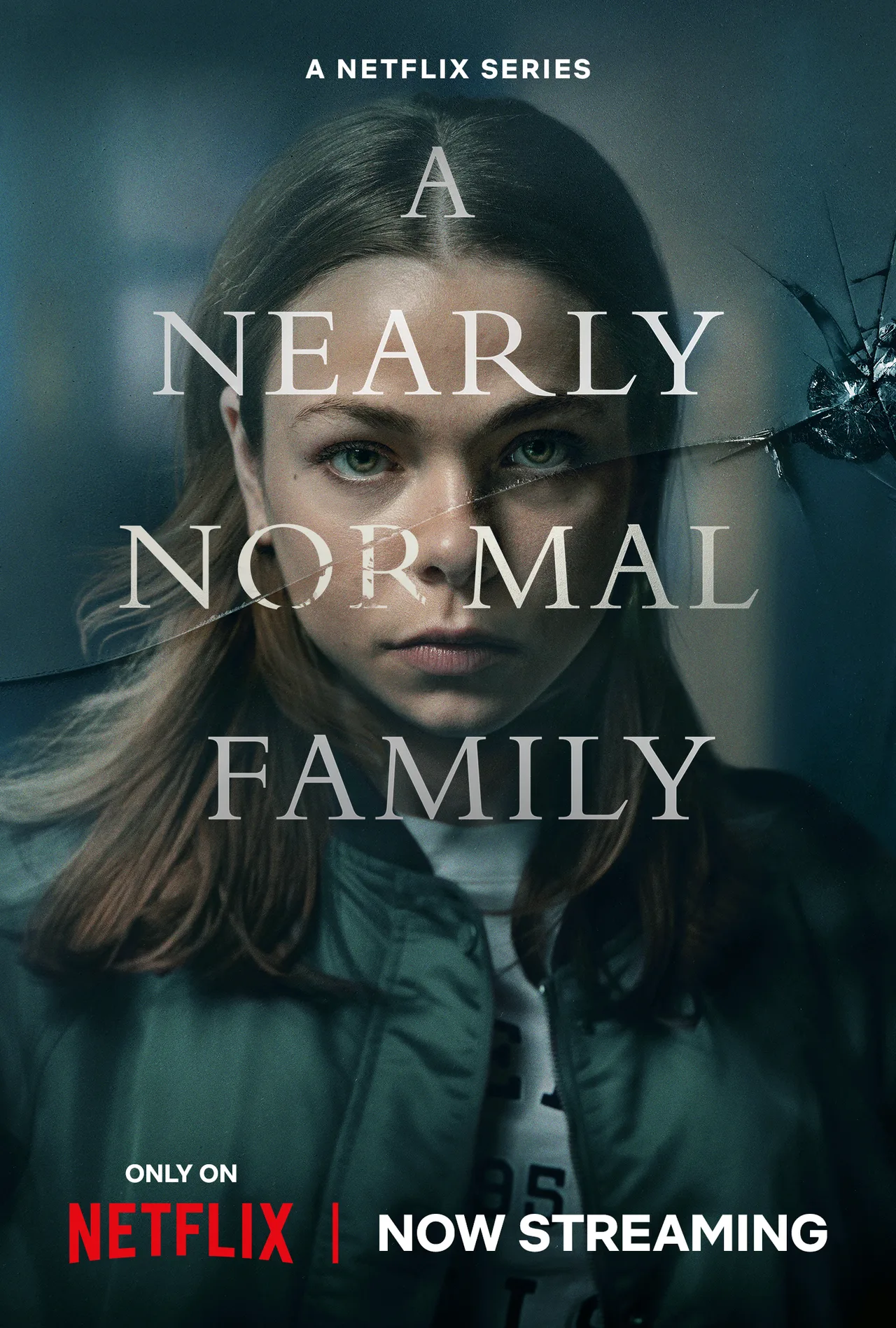 پوستر A Nearly Normal Family