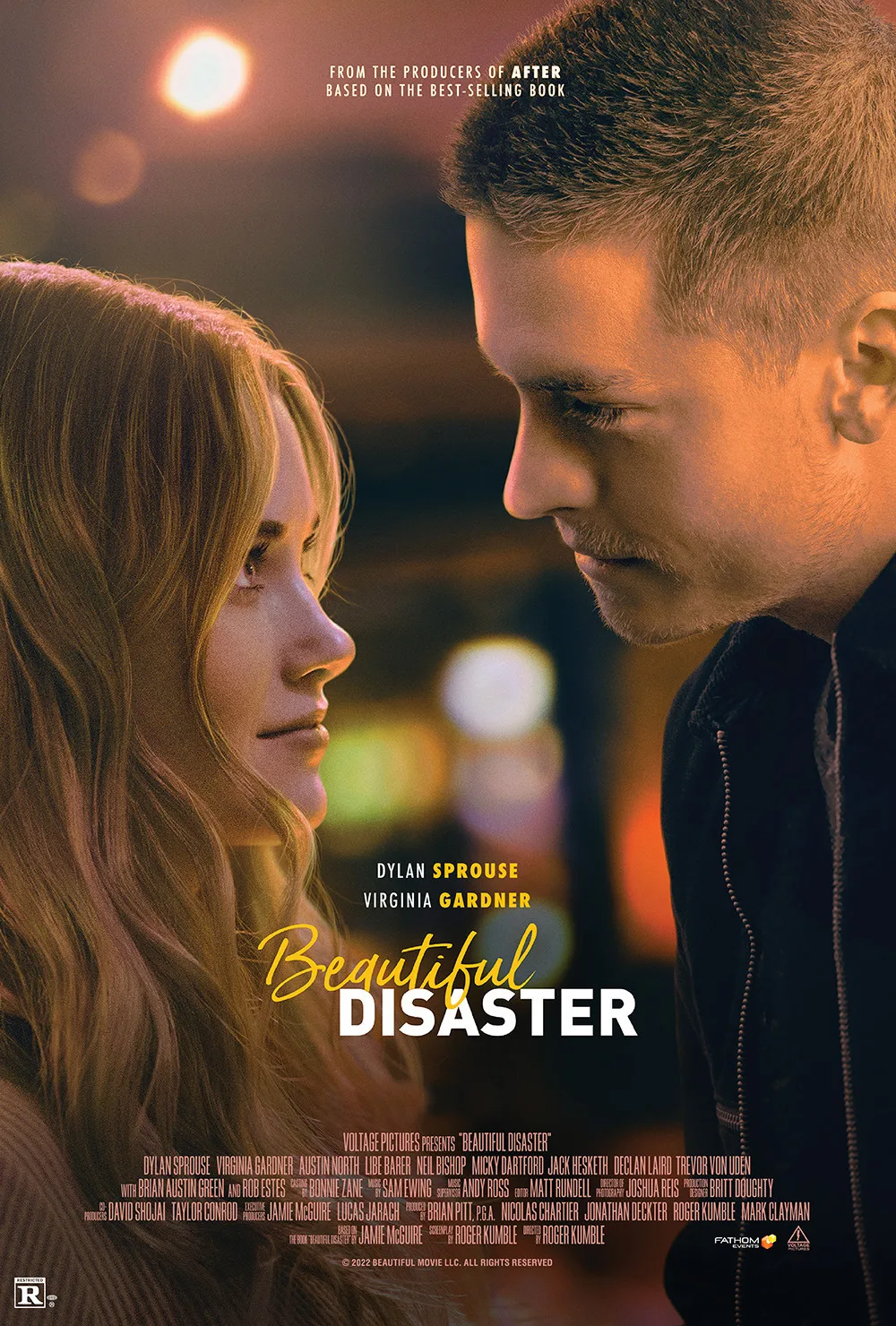 پوستر Beautiful Disaster