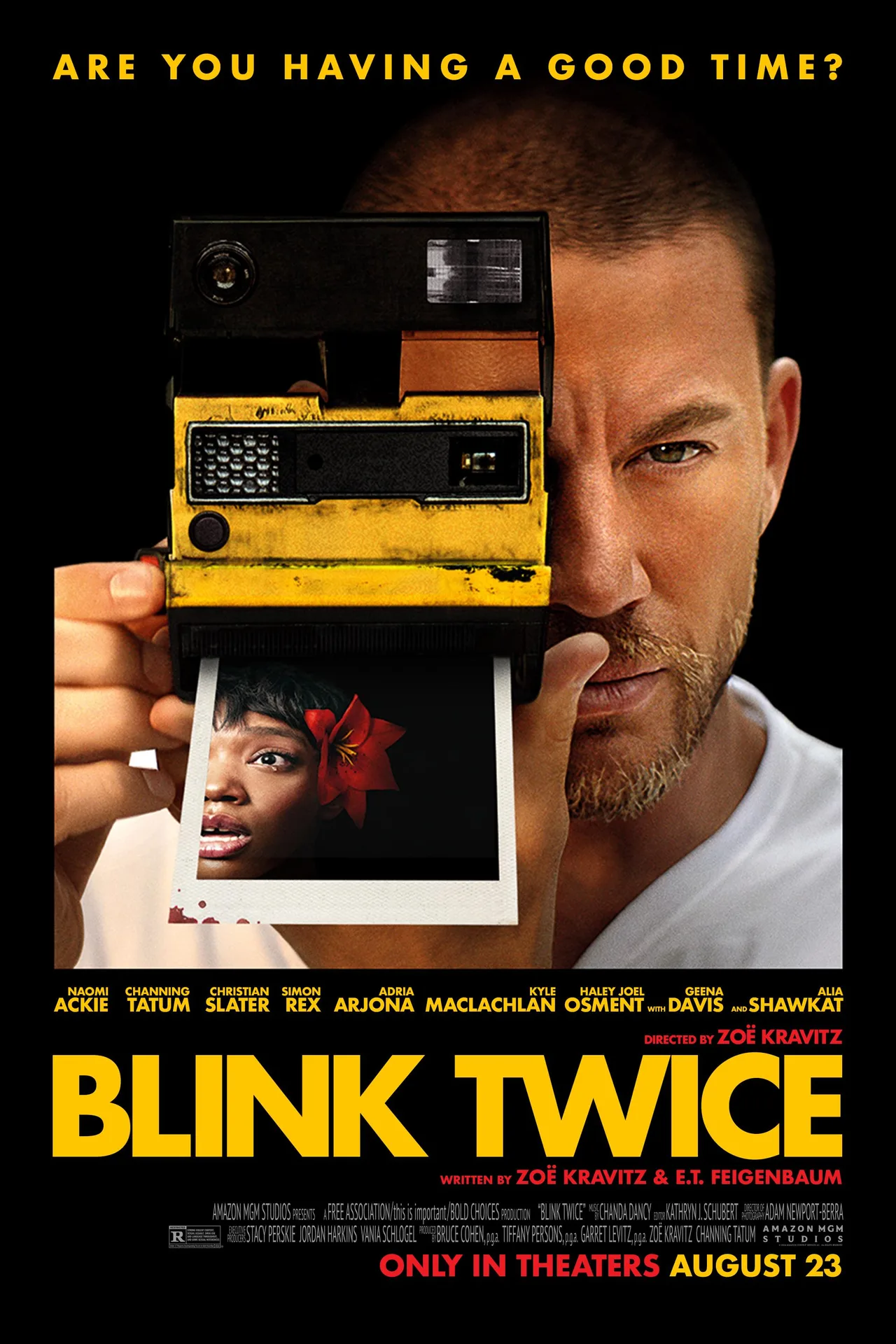 پوستر Blink Twice
