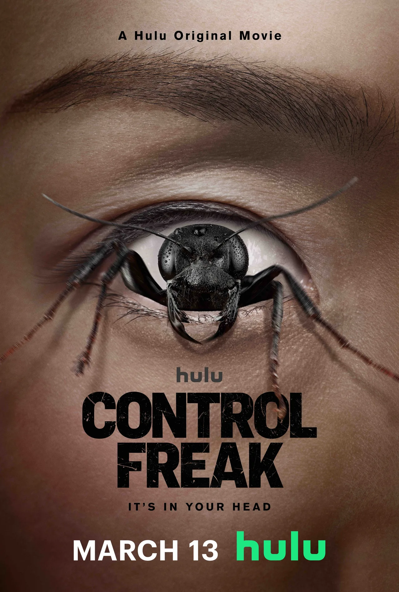 پوستر Control Freak