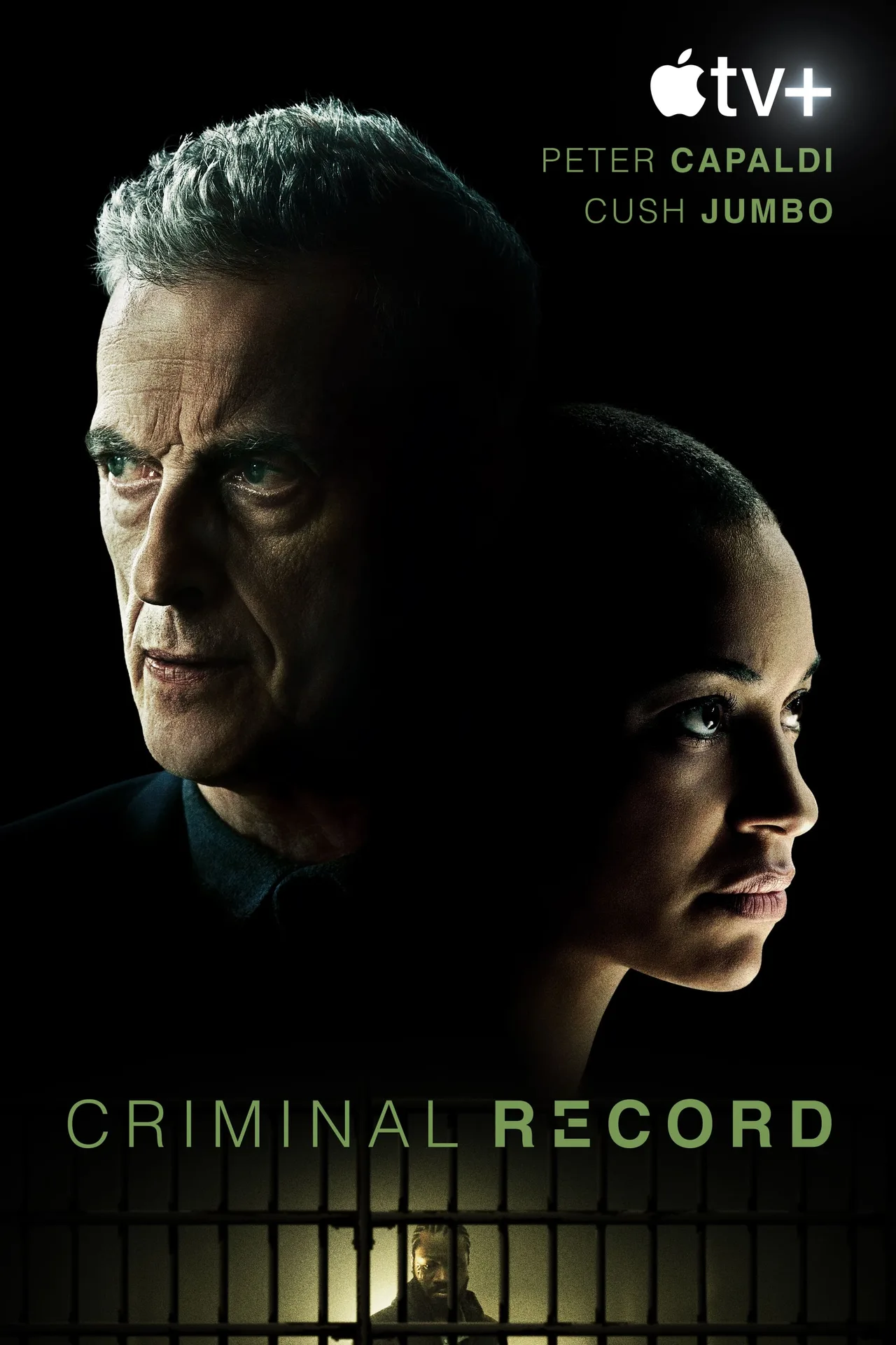 پوستر Criminal Record