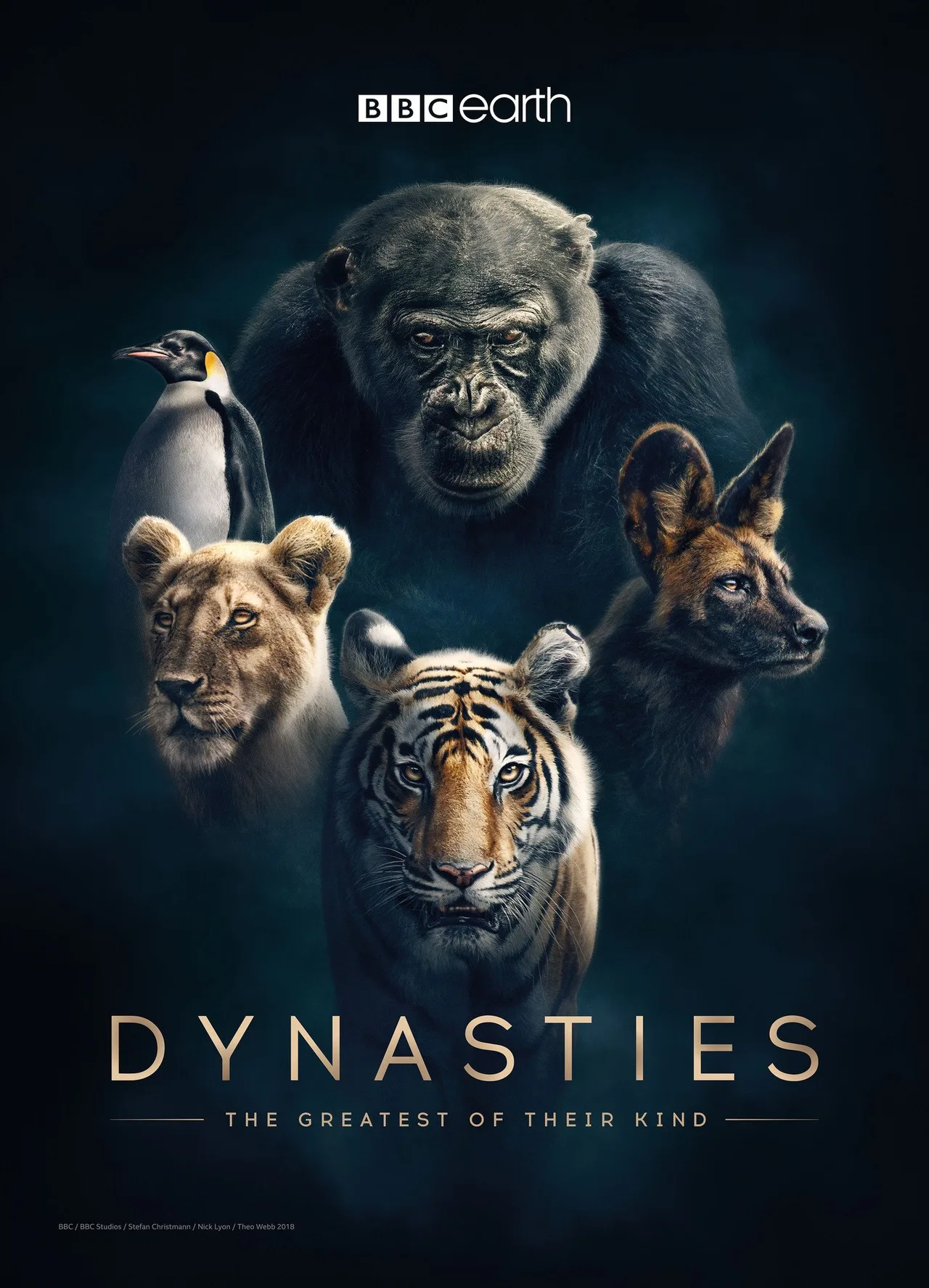 پوستر Dynasties