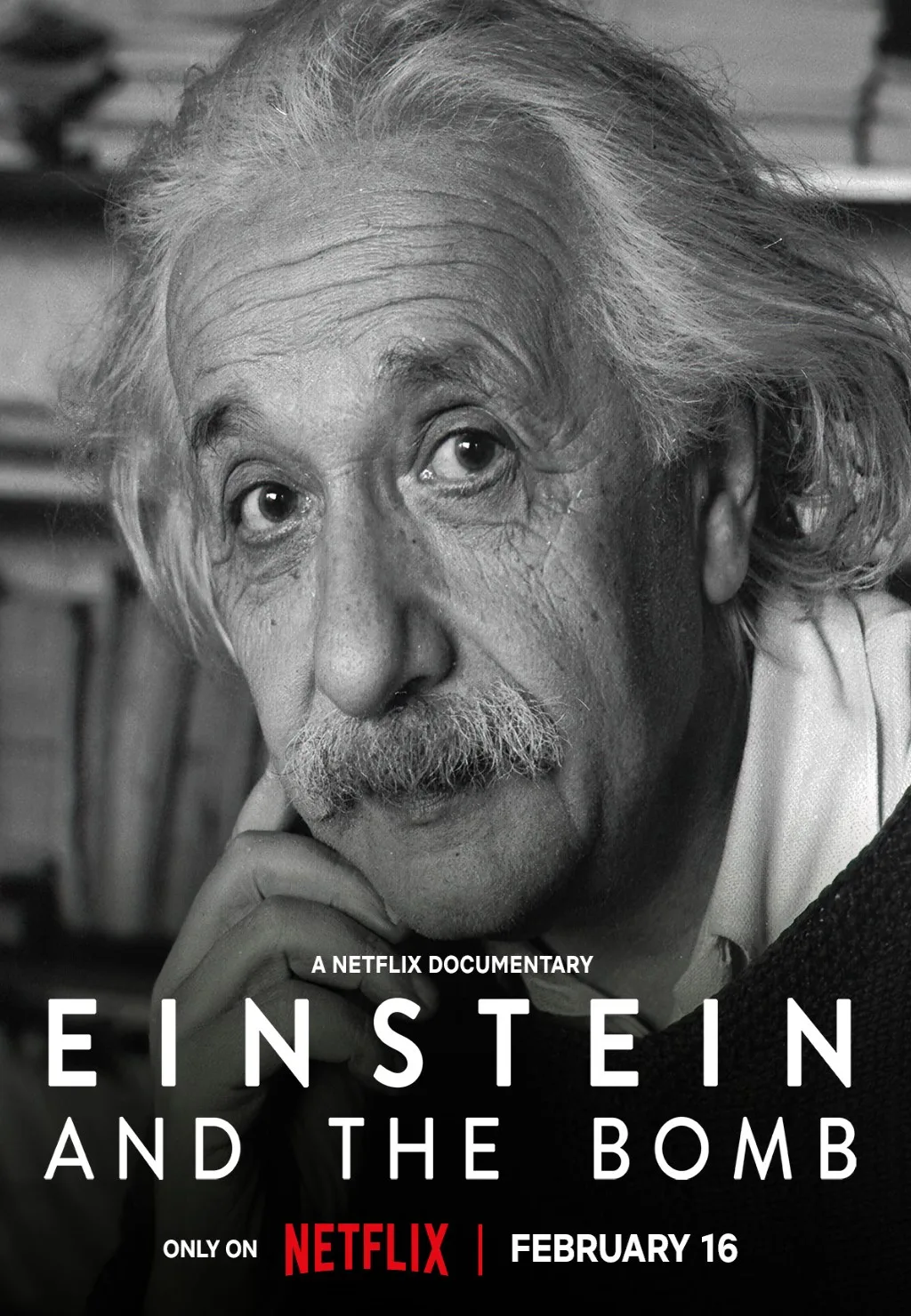 پوستر Einstein and the Bomb