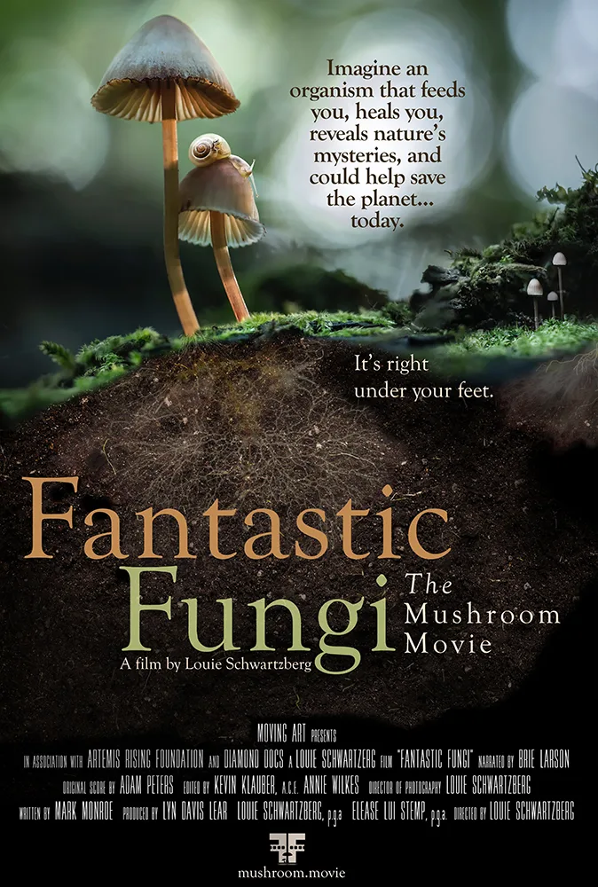 پوستر Fantastic Fungi