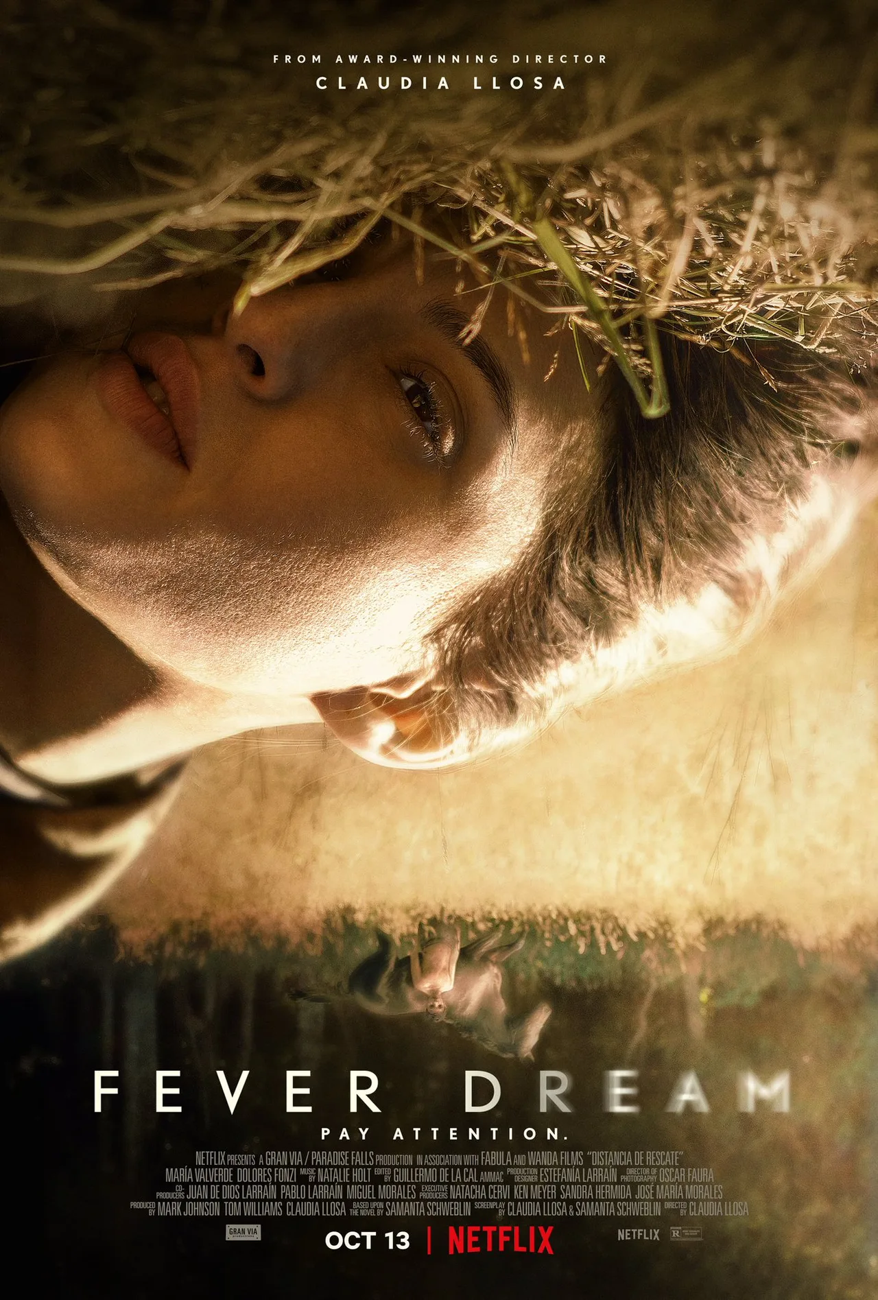 پوستر Fever Dream