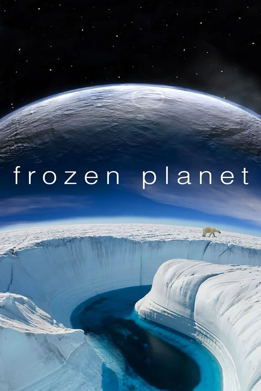 پوستر Frozen Planet