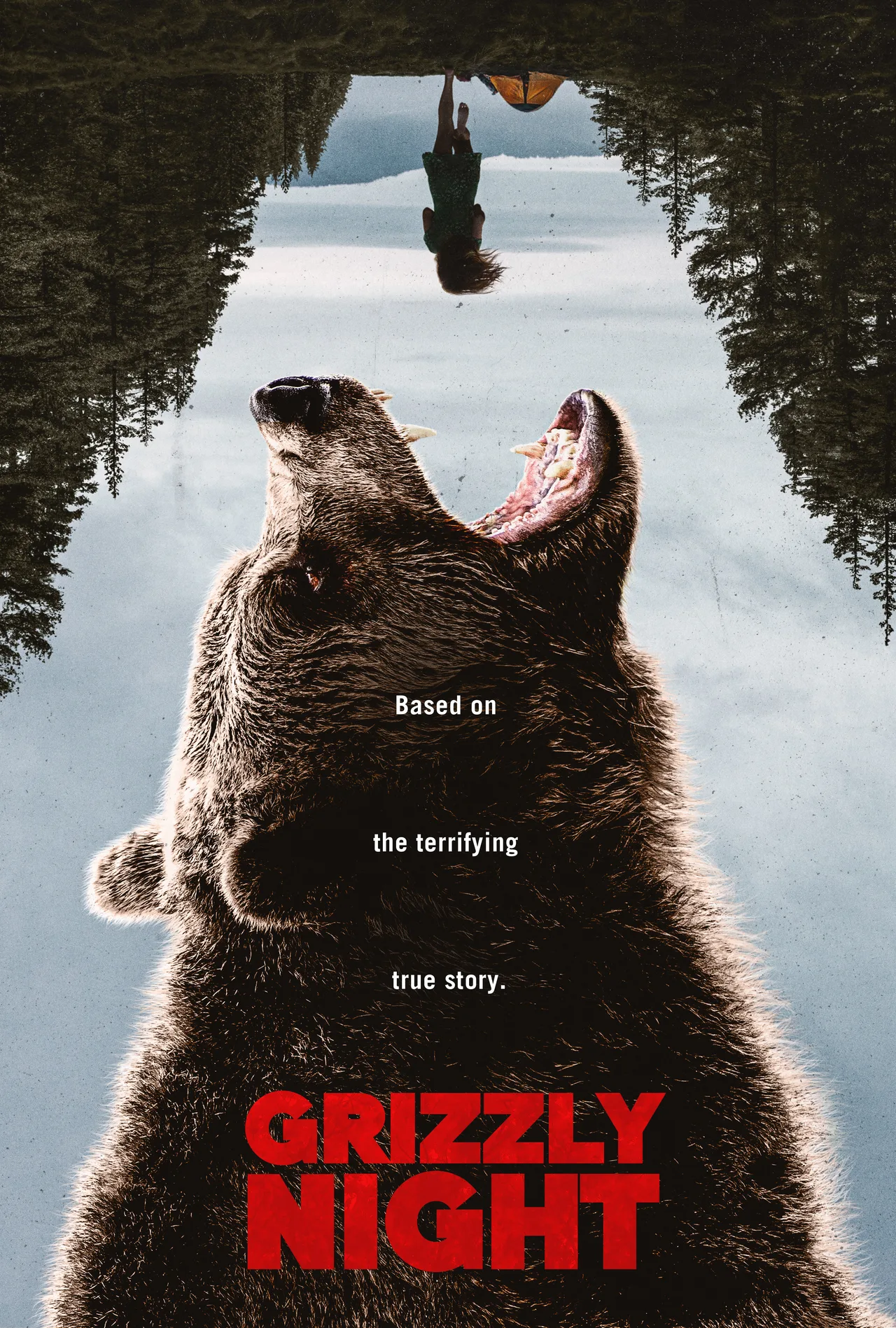 پوستر Grizzly Night
