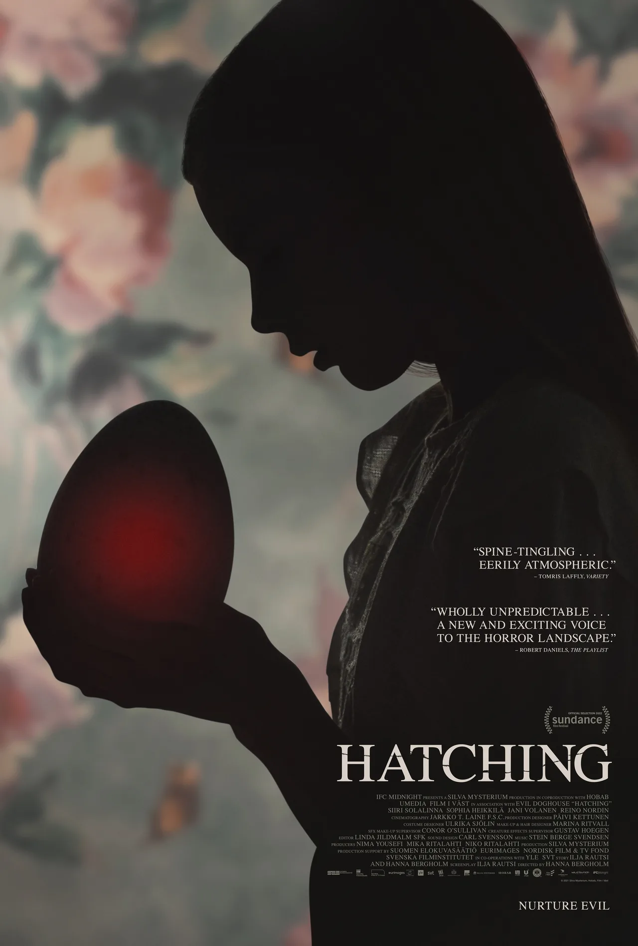 پوستر Hatching