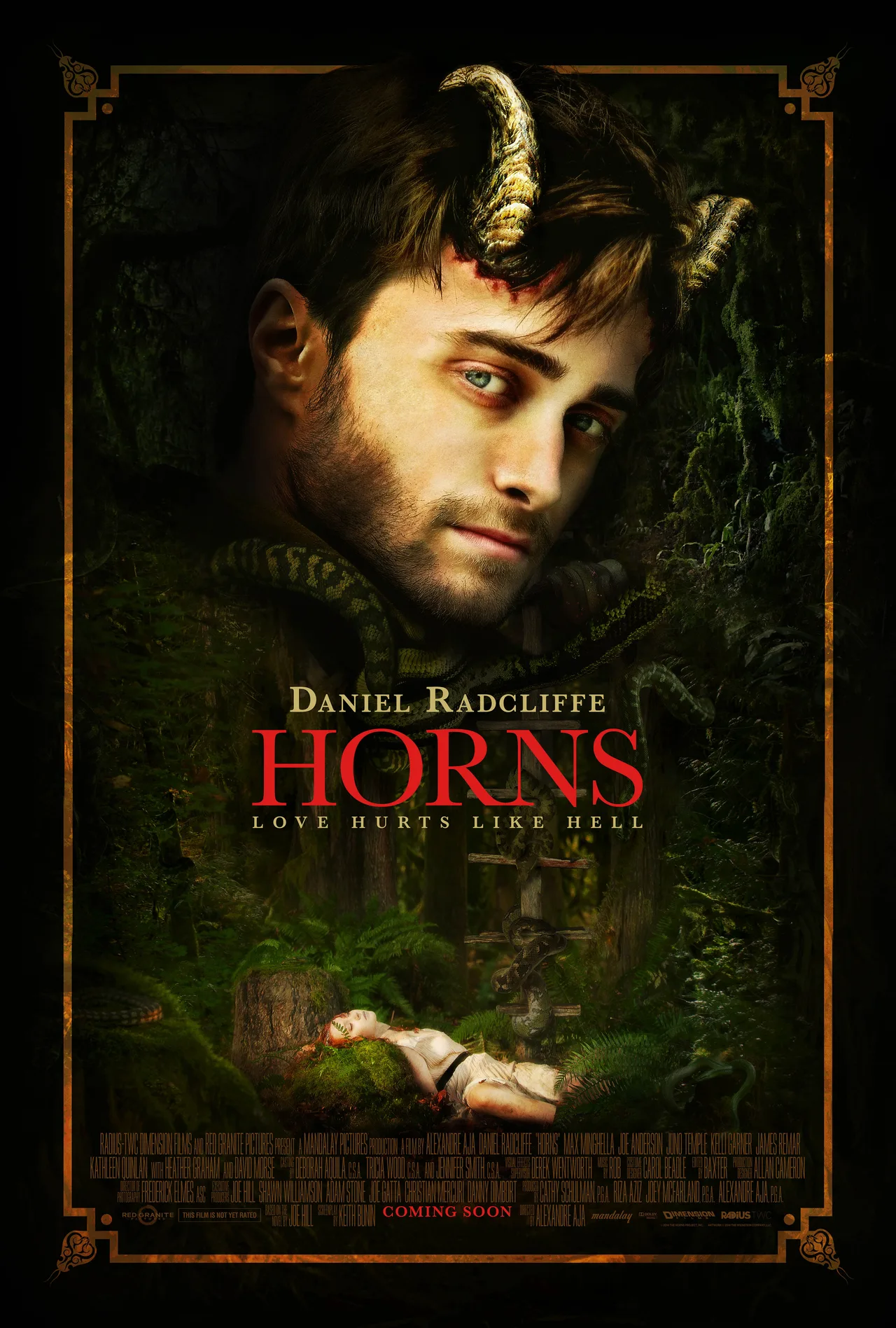 پوستر Horns