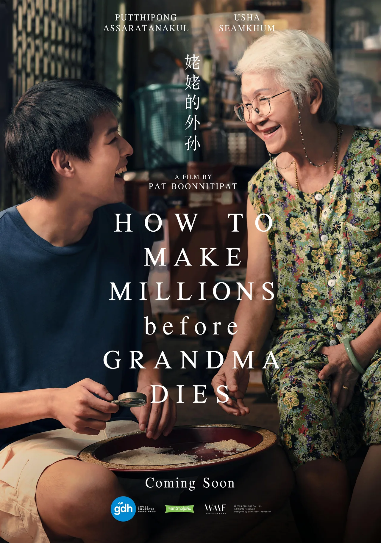 پوستر How to Make Millions Before Grandma Dies