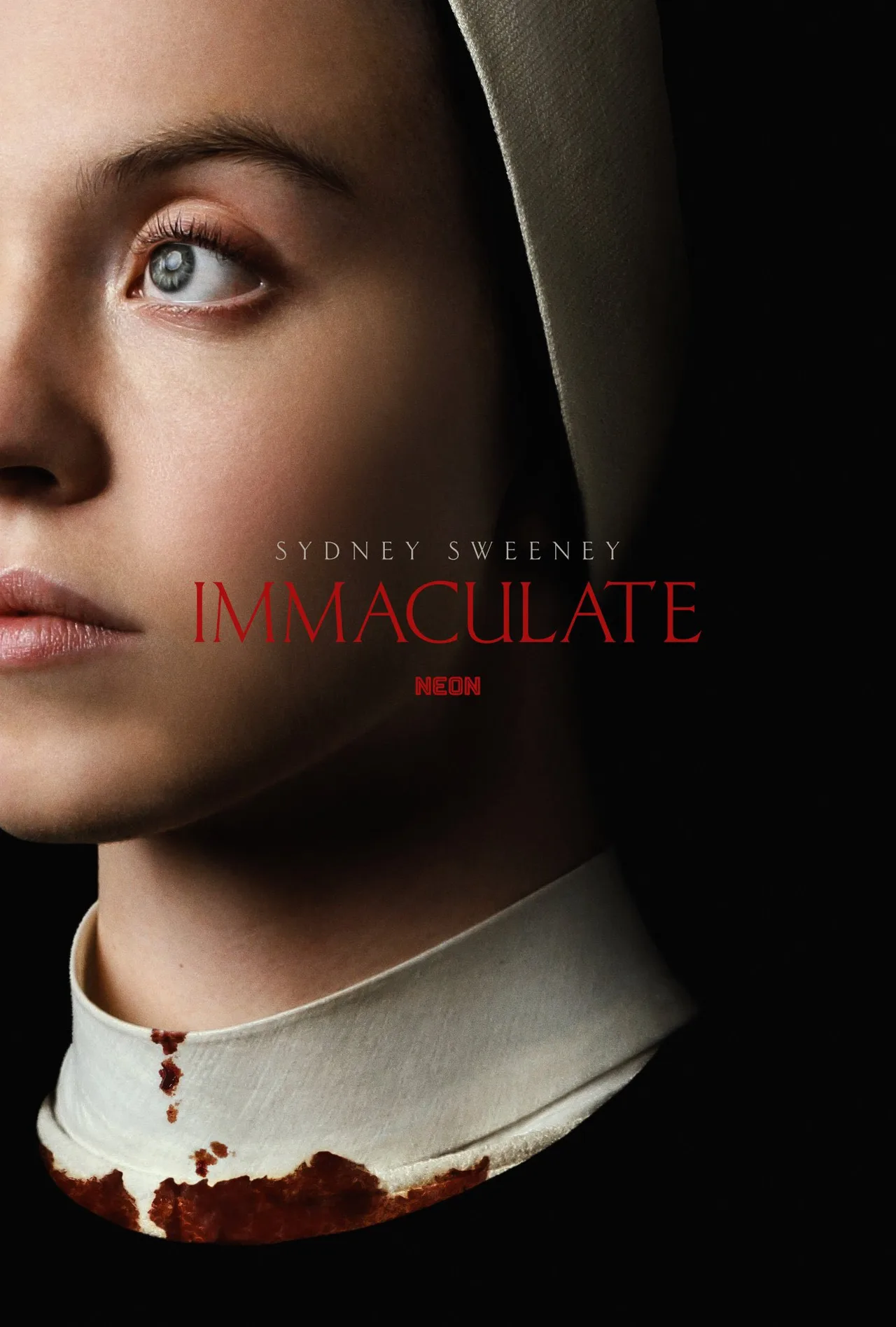 پوستر Immaculate