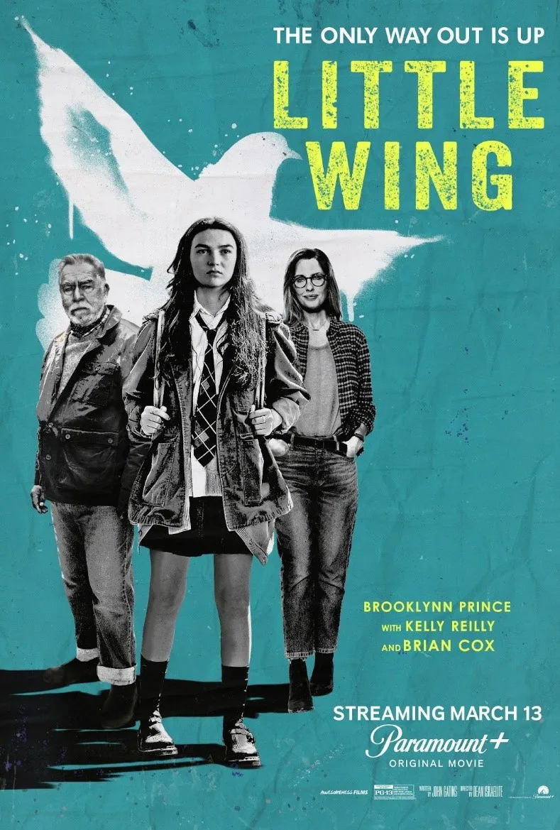 پوستر Little Wing