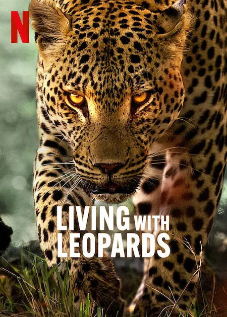 پوستر Living with Leopards