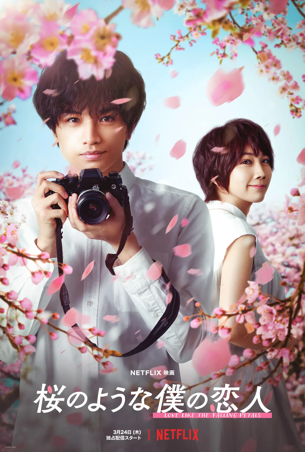 پوستر Love Like the Falling Petals