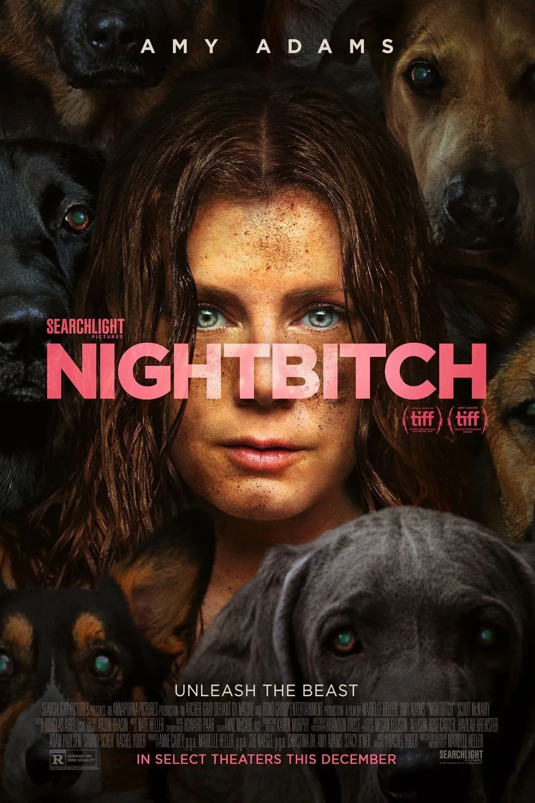 پوستر Nightbitch
