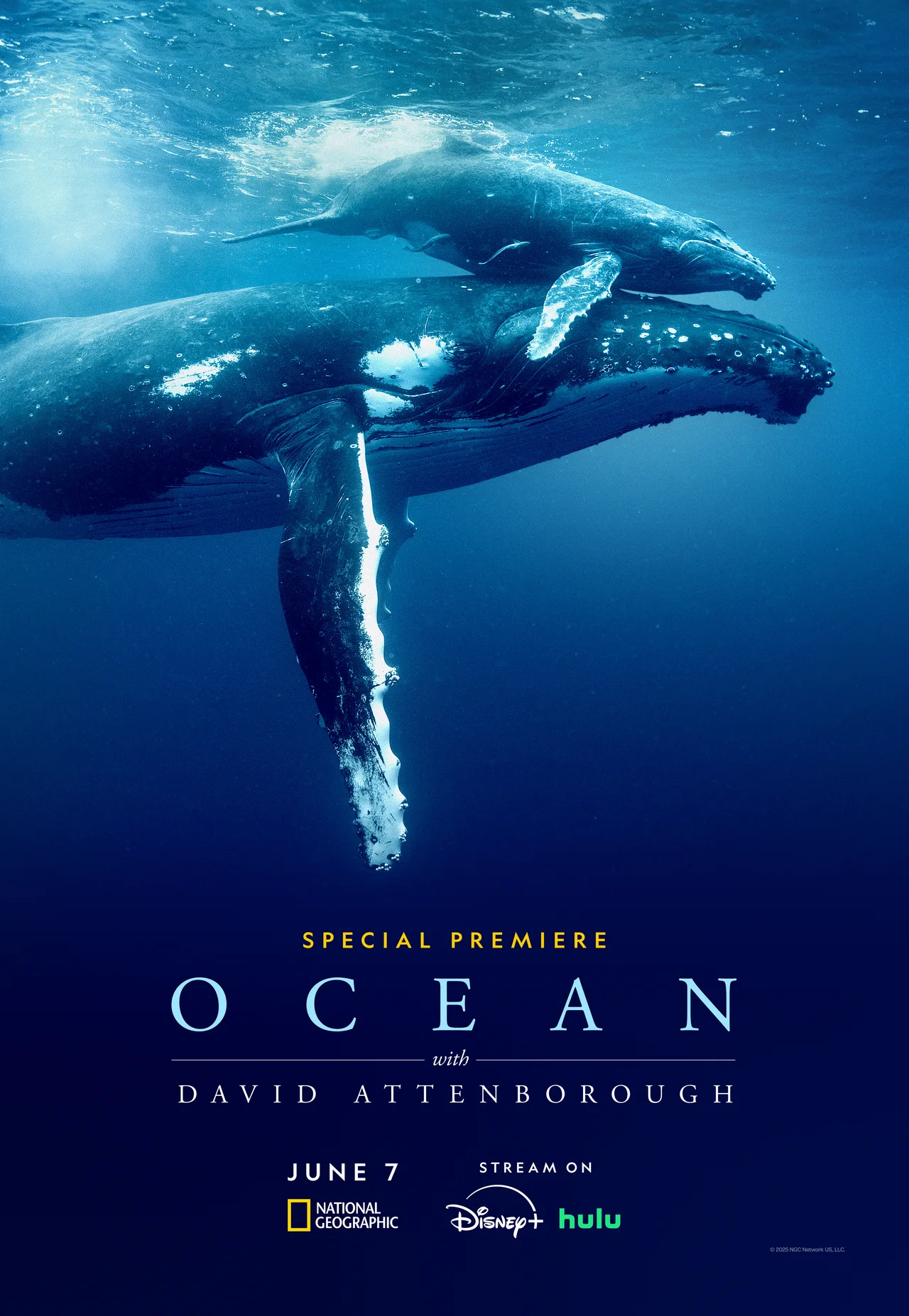 پوستر Ocean with David Attenborough