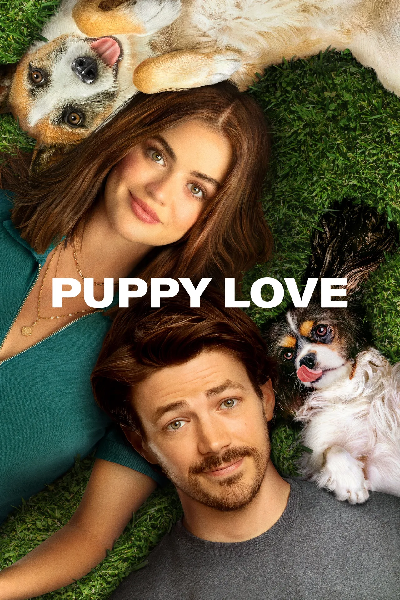 پوستر Puppy Love