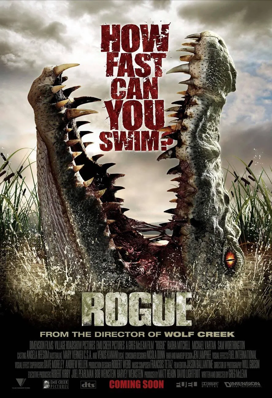 پوستر Rogue